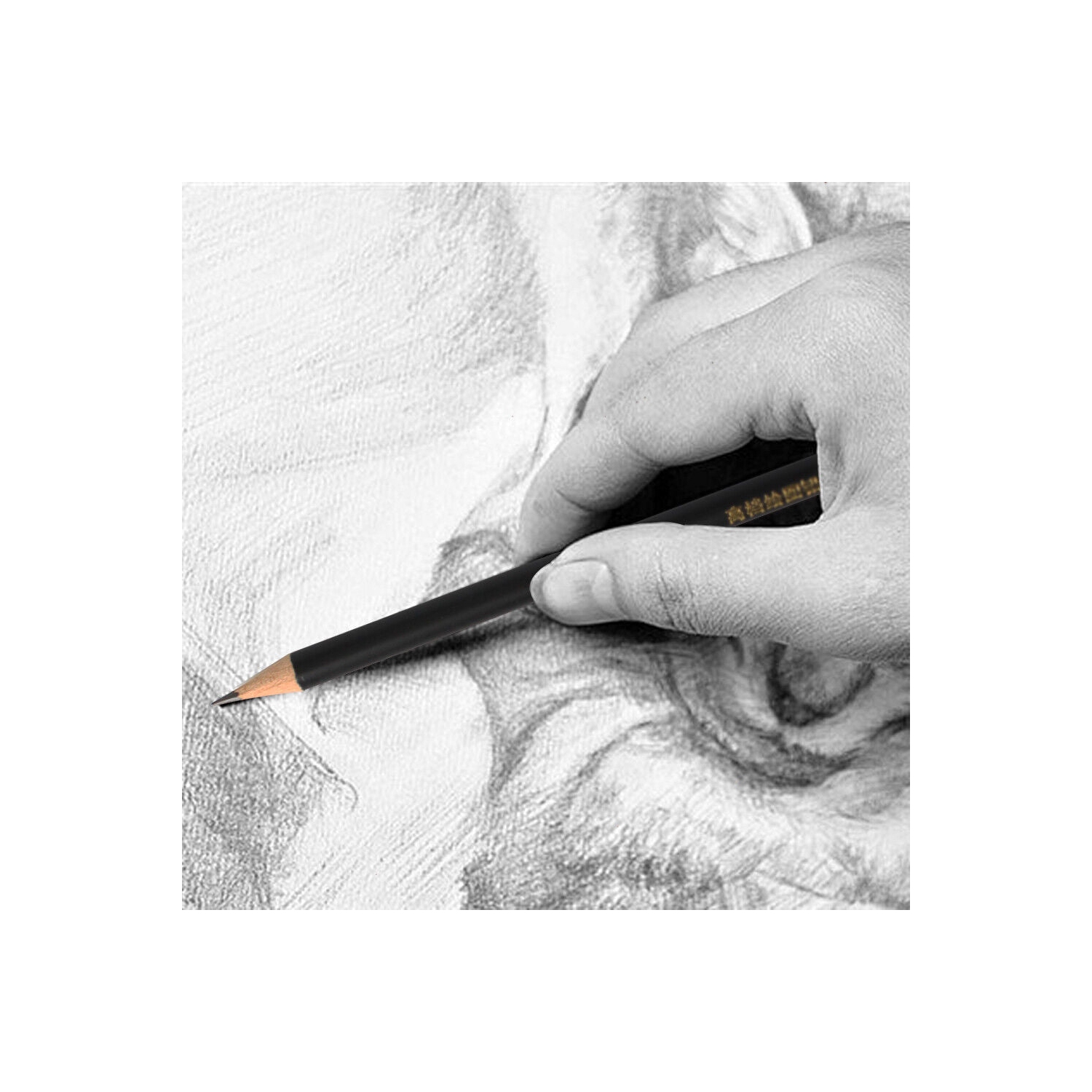 Drawing / Sketch Pencils Set Includes Erasers, Sharpener, Charcoals