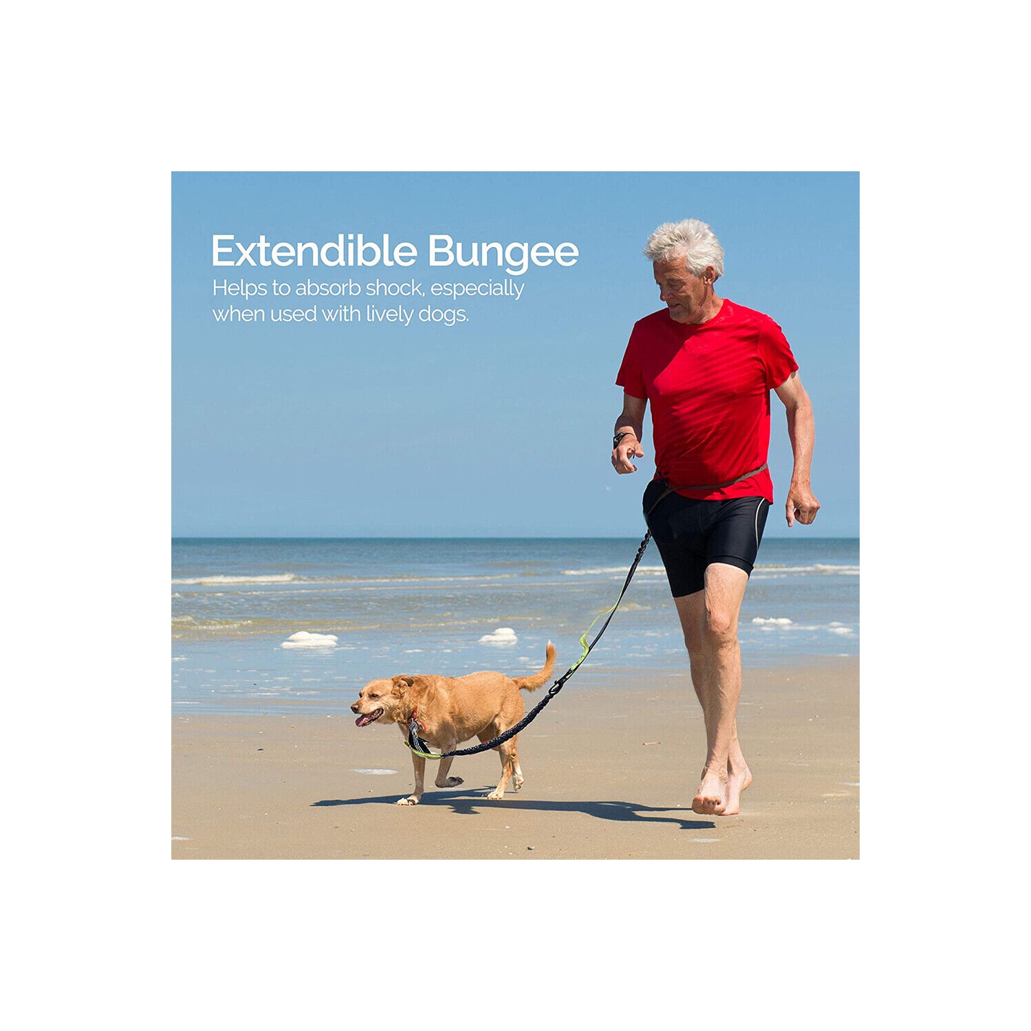 Laisse double rétractable pour chien sans fil; ne s’emmêle pas pour les chiens de grande taille de 150 lb et moins
