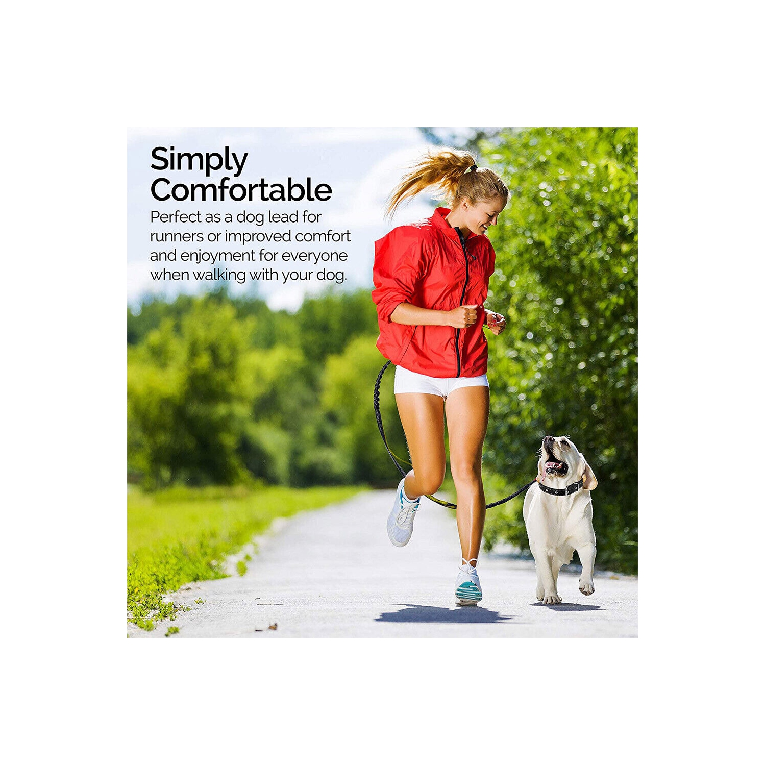 Laisse double rétractable pour chien sans fil; ne s’emmêle pas pour les chiens de grande taille de 150 lb et moins