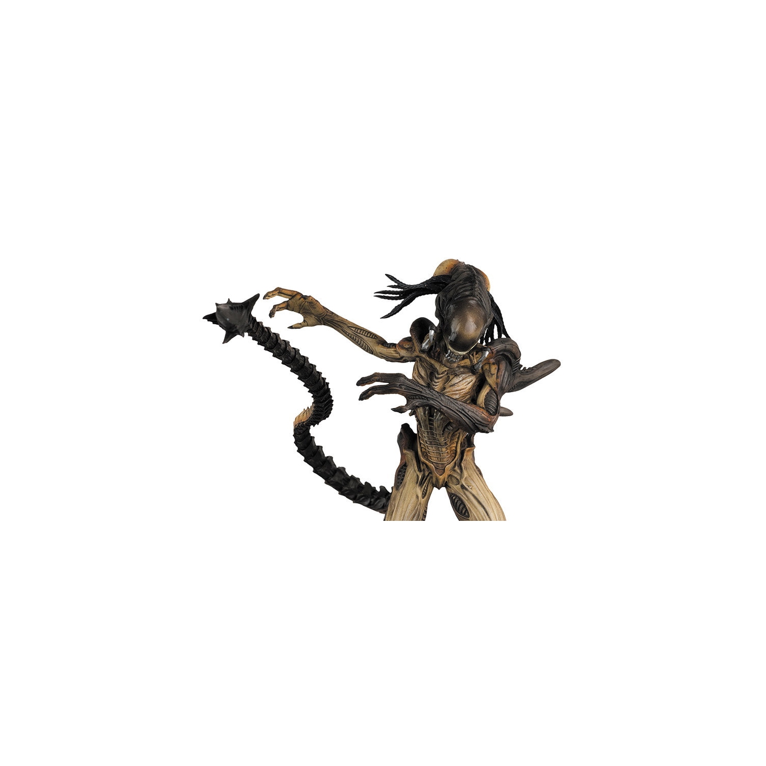 Collection de figurines Eaglemoss no 11&nbsp;: Predalien de la statue de la figurine en résine d'extraterrestre contre Predator