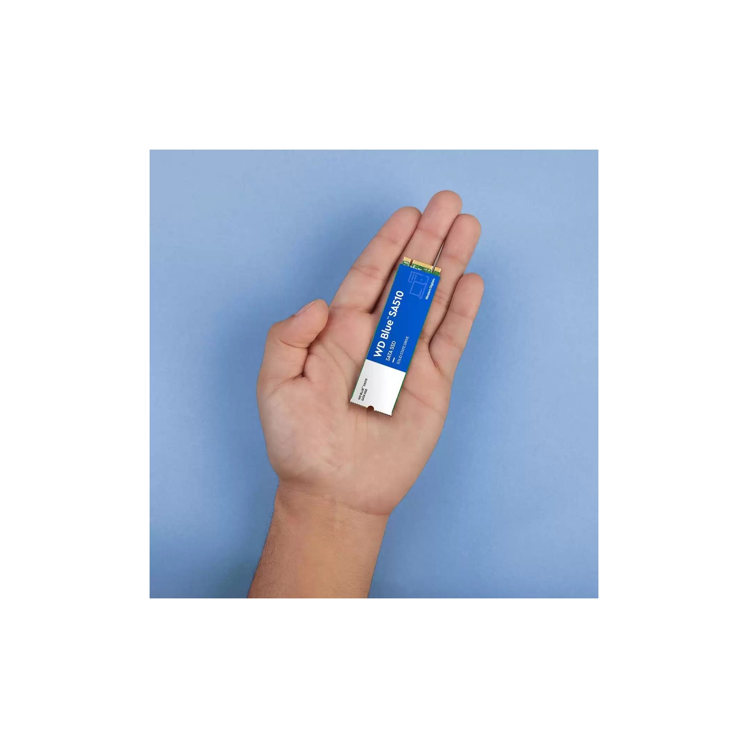 WD Blue 1TB SATA Internal Solid State Drive -