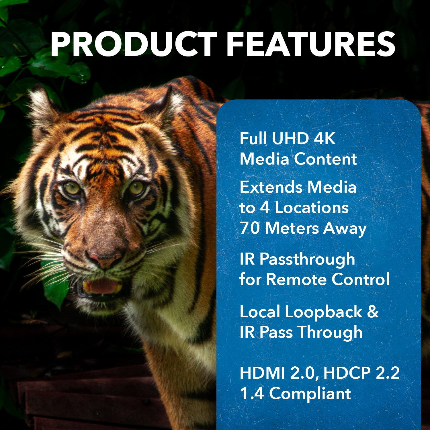 Prolongateur Matrix 4x4 HDMI - Ultra HD 4K à 60 Hz sur un seul câble CAT6/7