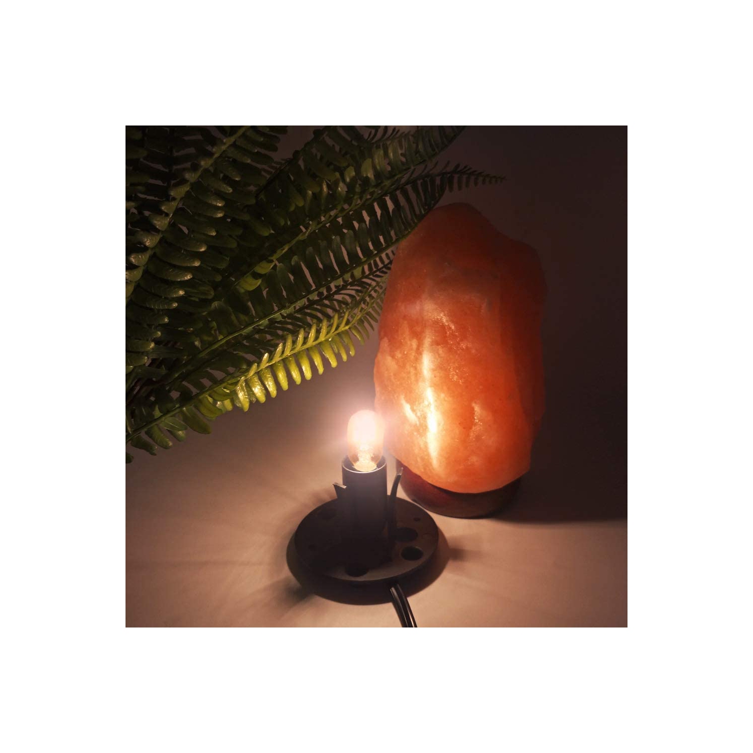 Cordons de lampe en cristal de sel himalayen et ampoules avec gradateur, cordons de rechange originaux avec base
