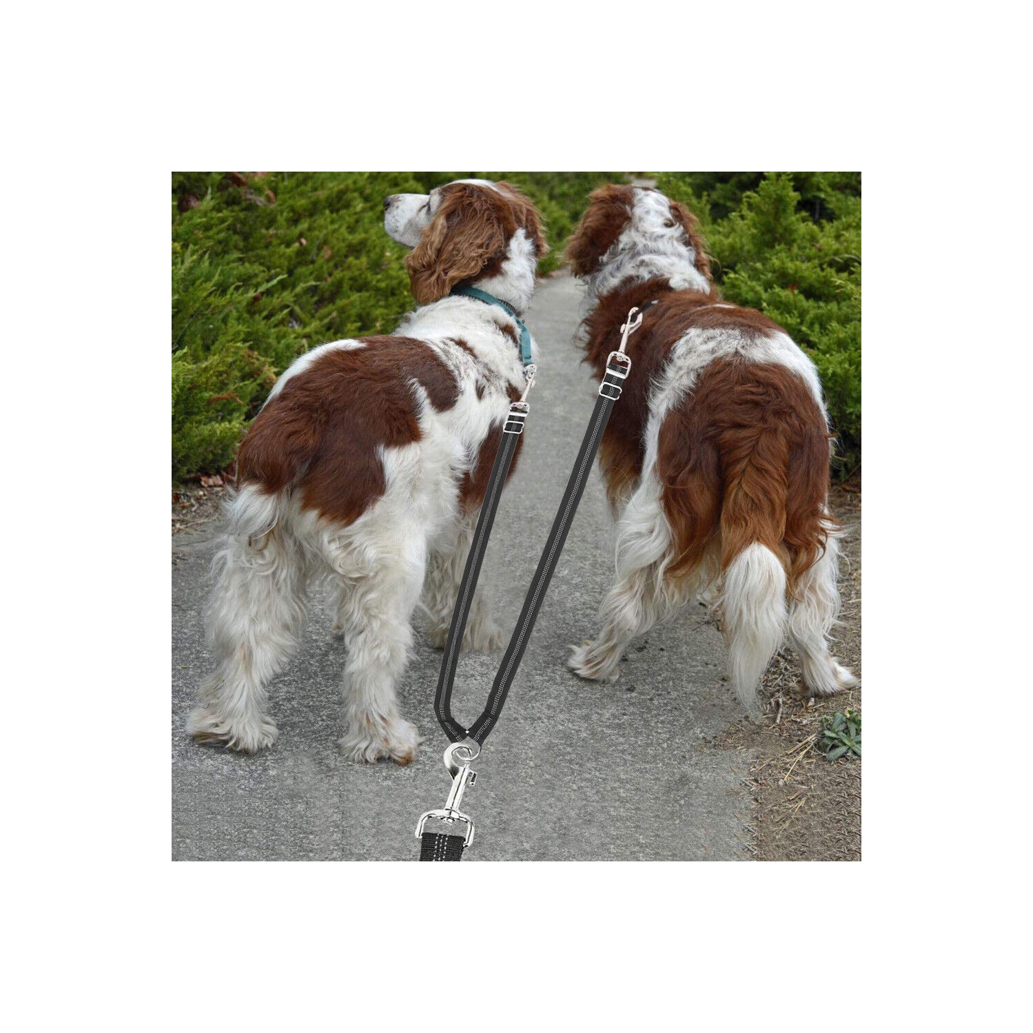 Double laisses pour chien Tangle Pet : confortable, absorbant les chocs, réfléchissant CA