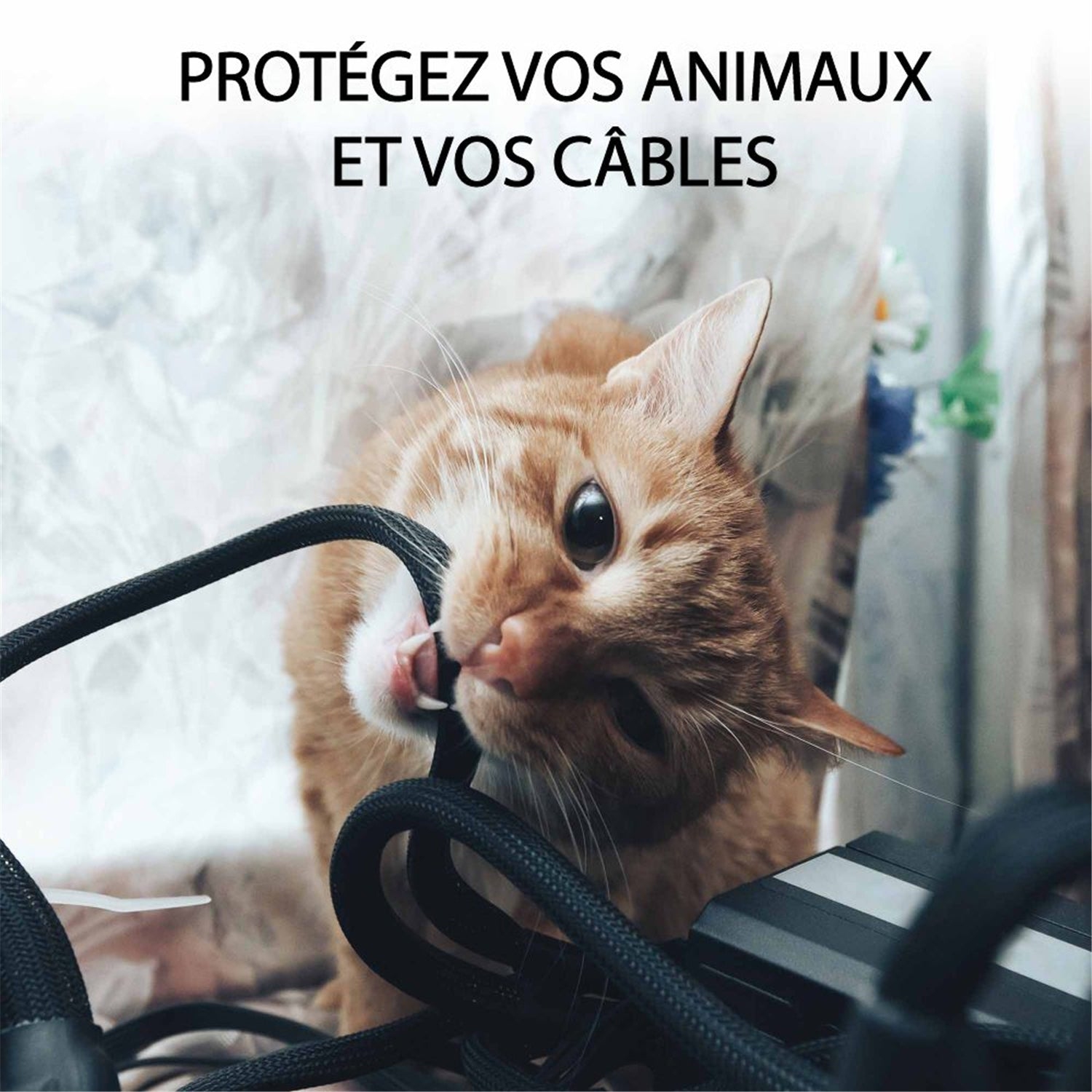 GlobalTone - Ensemble de Cache-fil Mural, Longeur de 150 Pouces, Peinturable, Blanc Mat