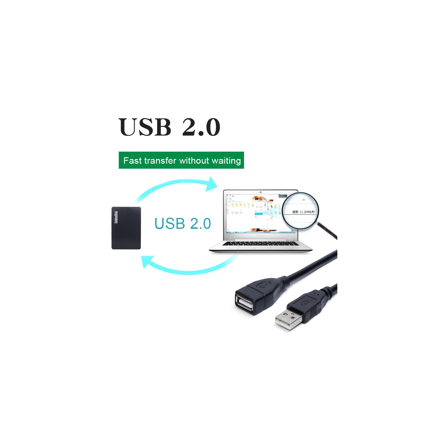 Rallonge USB 2.0 mâle à femelle de 6 pi/2 m