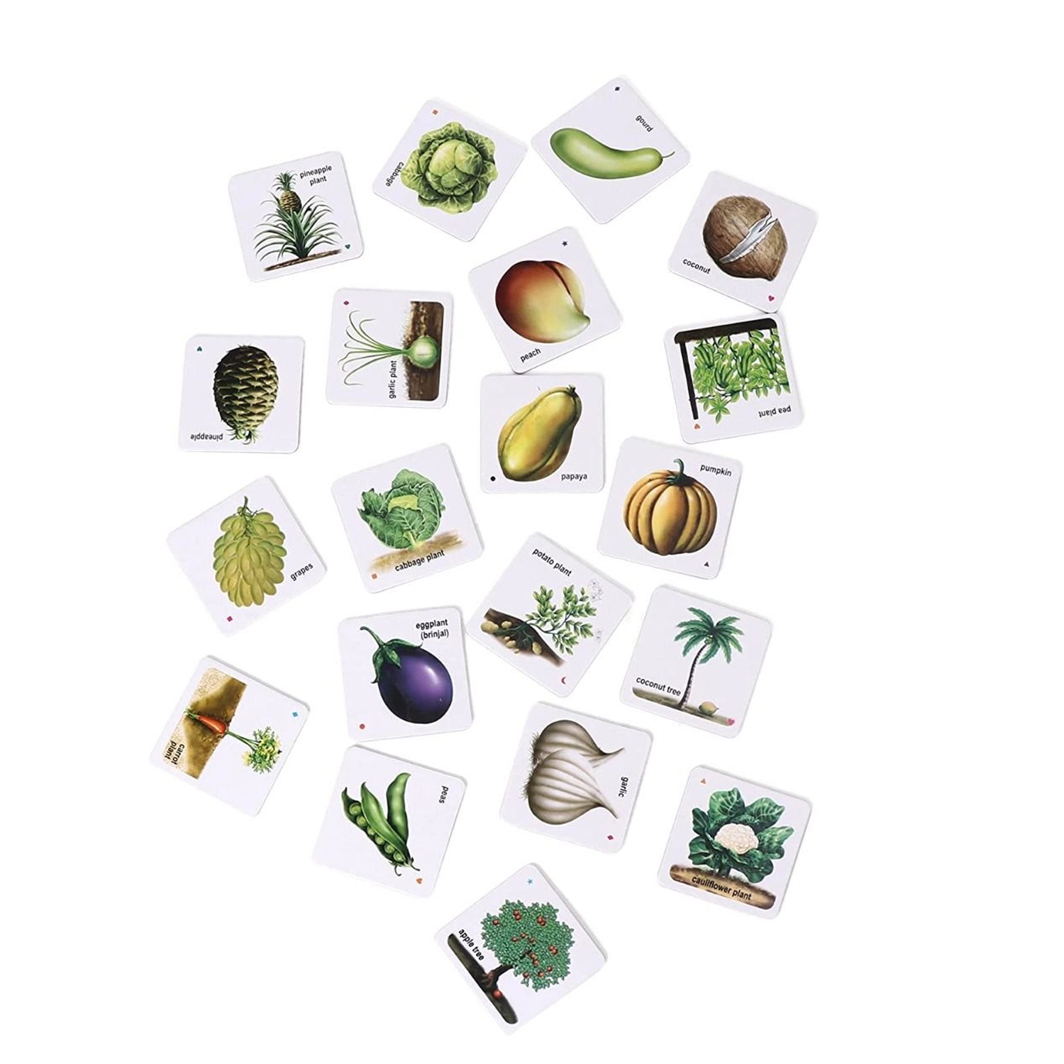 ISTAR 62PCS Creative Educational Fruits, Vegetables And Their Plants Card Game