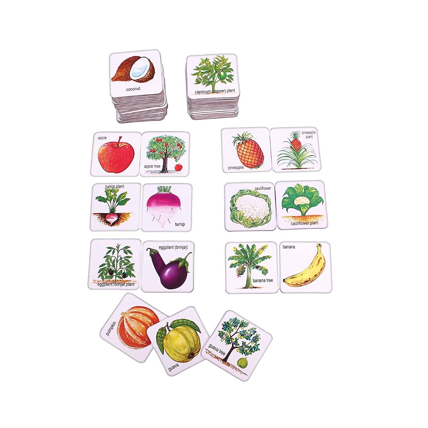 ISTAR 62PCS Creative Educational Fruits, Vegetables And Their Plants Card Game