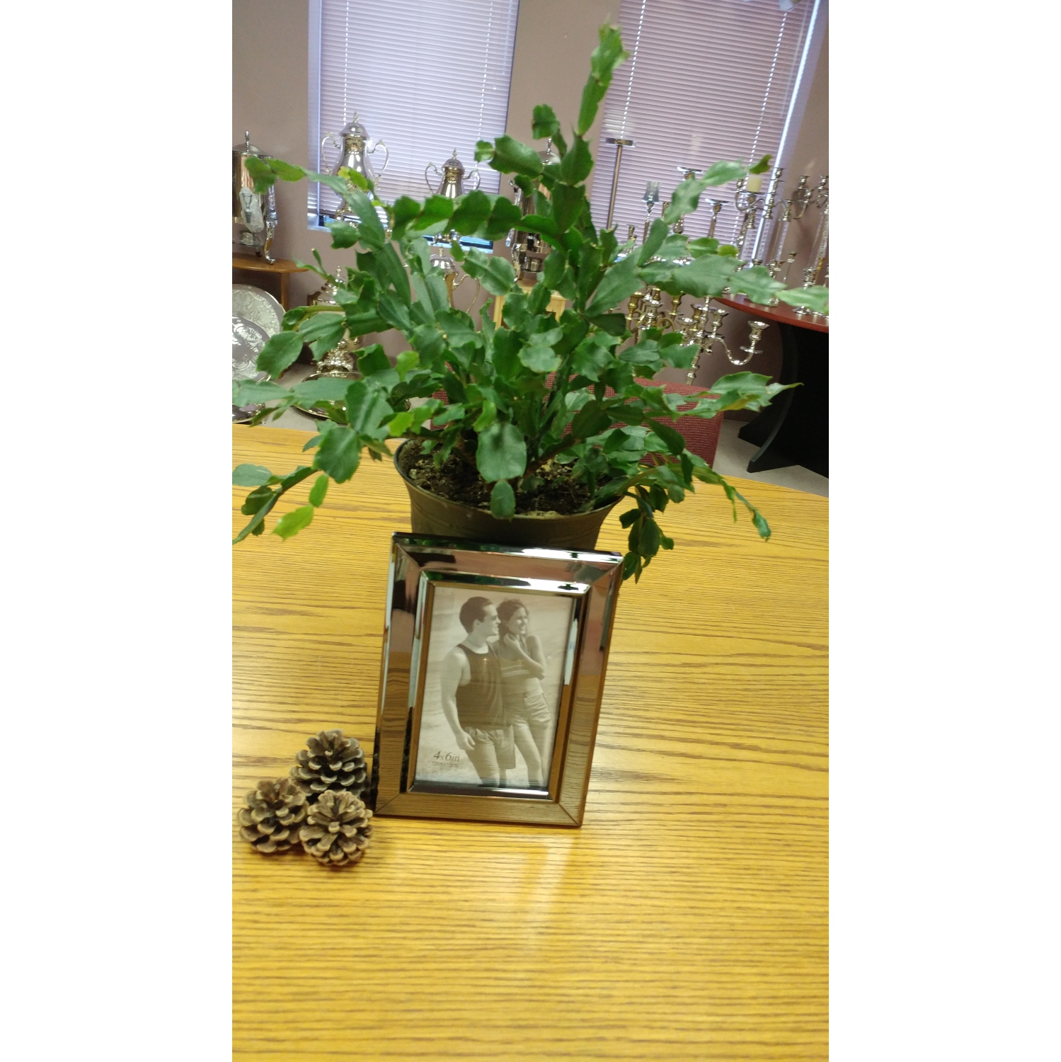 Elegance 4x6" Frame-Gun Metal Finish