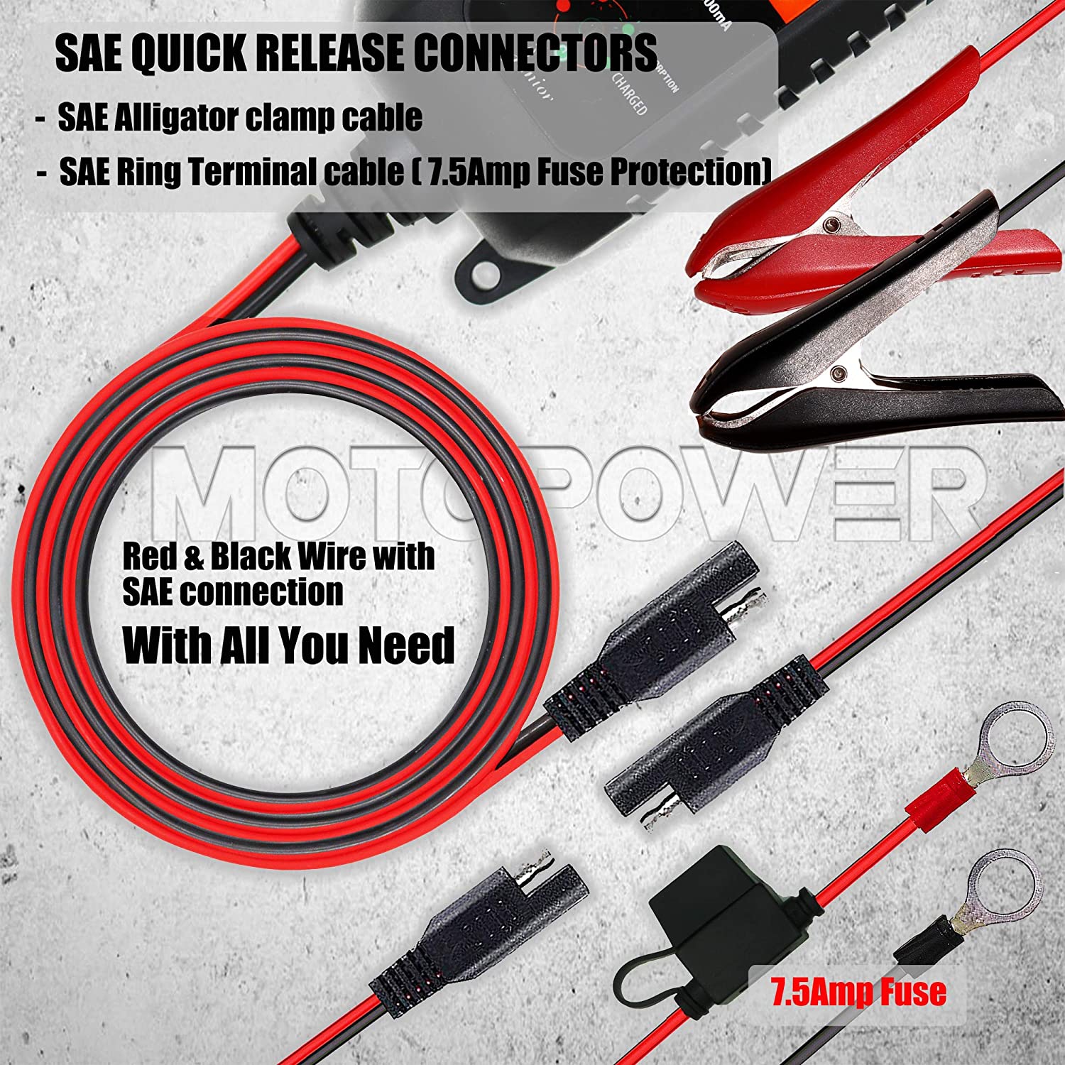 Chargeur de batterie automatique MP00205A 12 V 800 m de Motorola