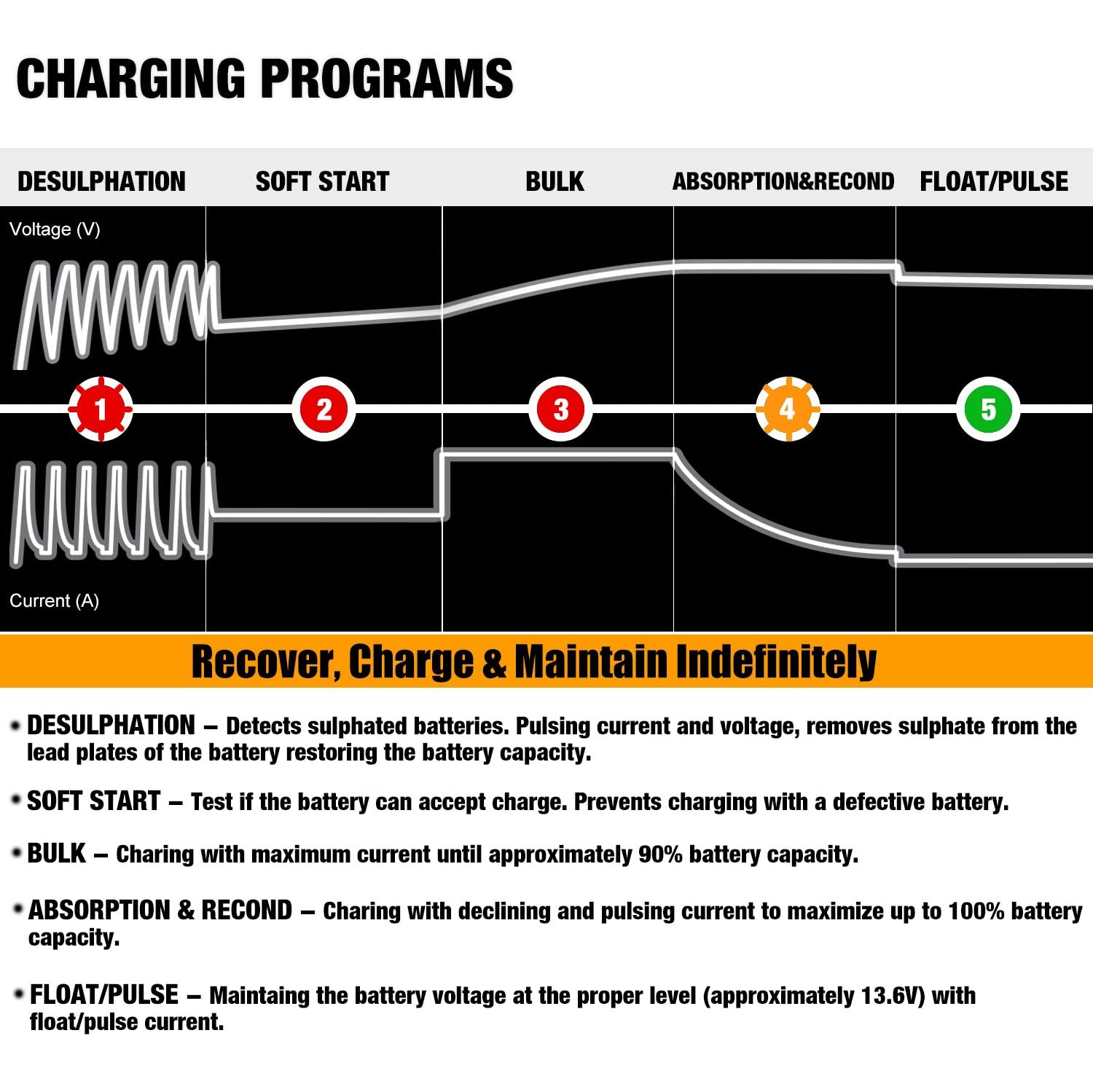Chargeur de batterie automatique MP00205A 12 V 800 m de Motorola