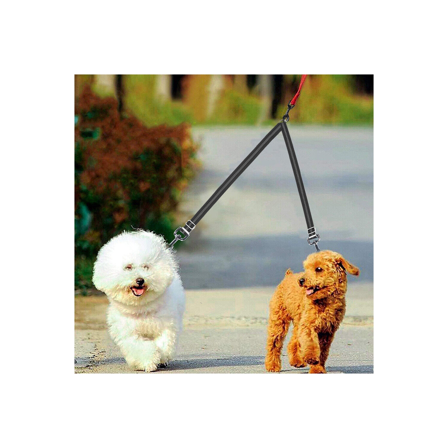 Répartiteur réfléchissant double à double mine et ajustable pour deux chiens