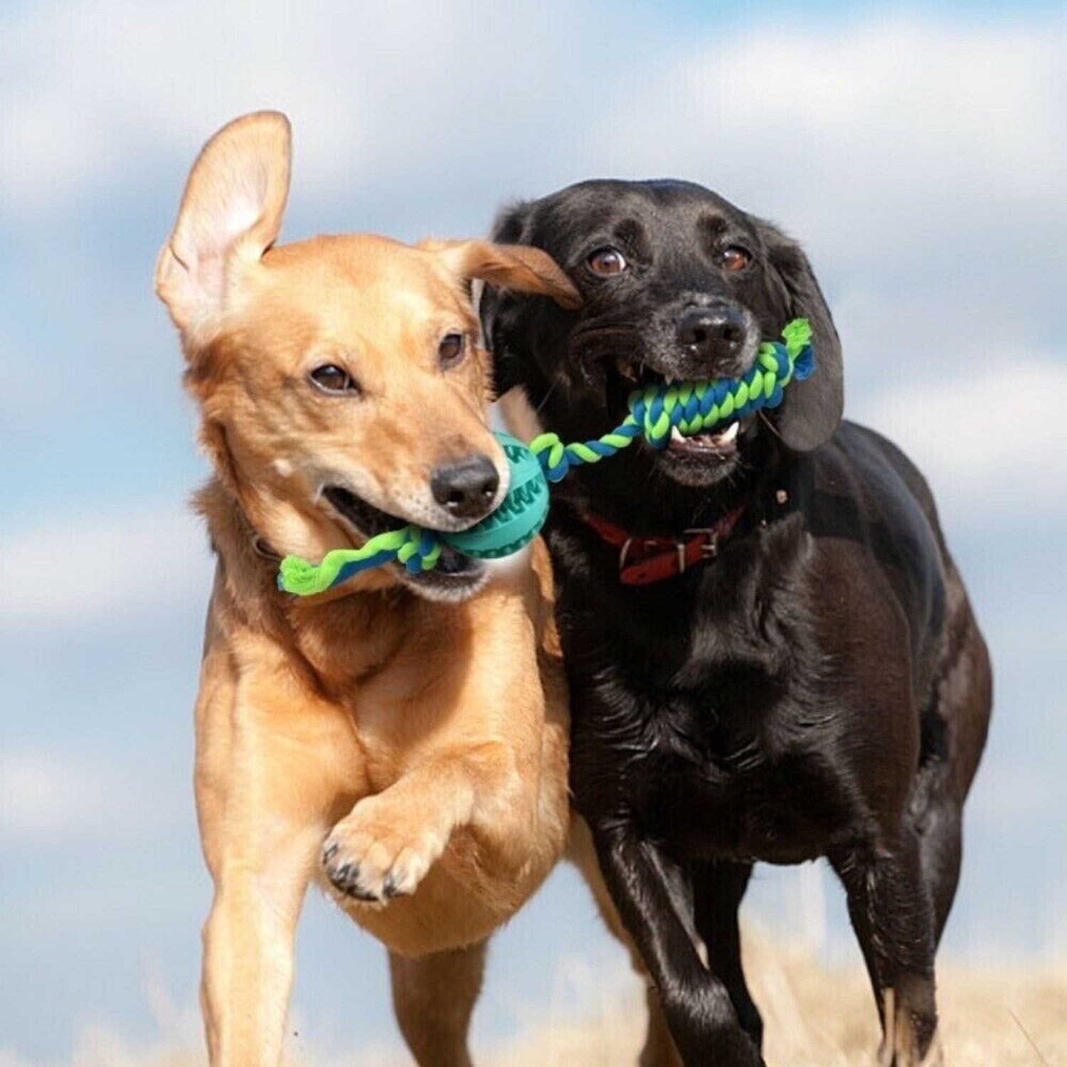 3 X Dog Chew Toys Durable Rubber Dog Toys for Chewers Tough Toys for Training and Cleaning Teeth Interactive Dog Toys