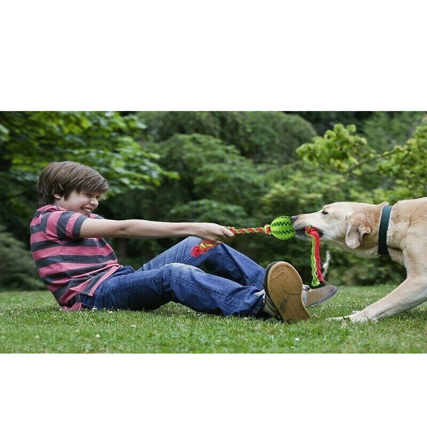 3 X Dog Chew Toys Durable Rubber Dog Toys for Chewers Tough Toys for Training and Cleaning Teeth Interactive Dog Toys