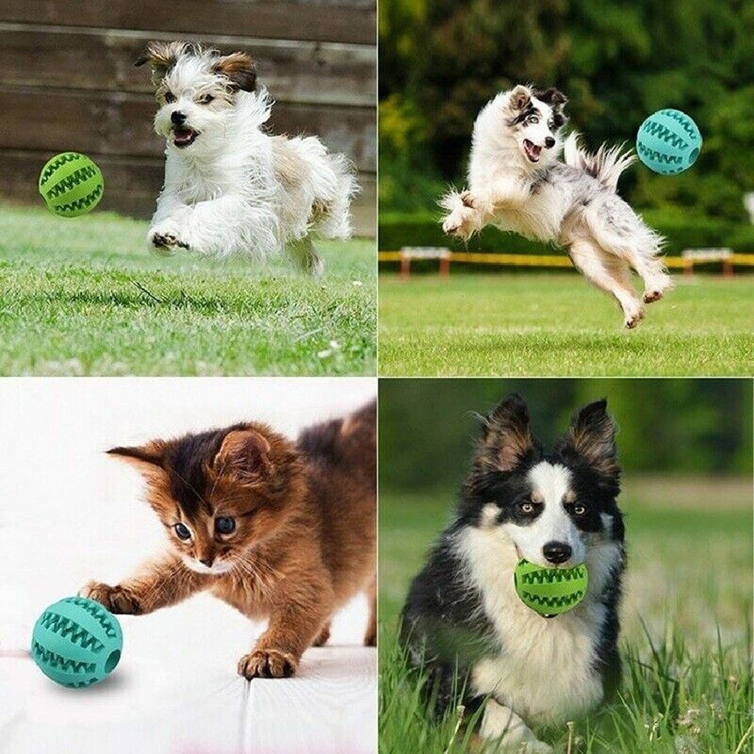 3 X Dog Chew Toys Durable Rubber Dog Toys for Chewers Tough Toys for Training and Cleaning Teeth Interactive Dog Toys