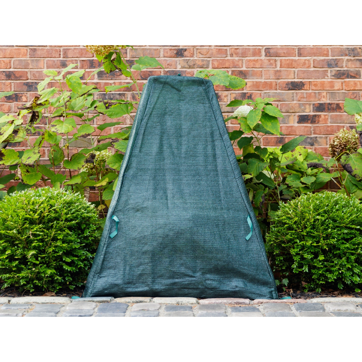 Shrub cover36 in. x 36 in. x 40 in.