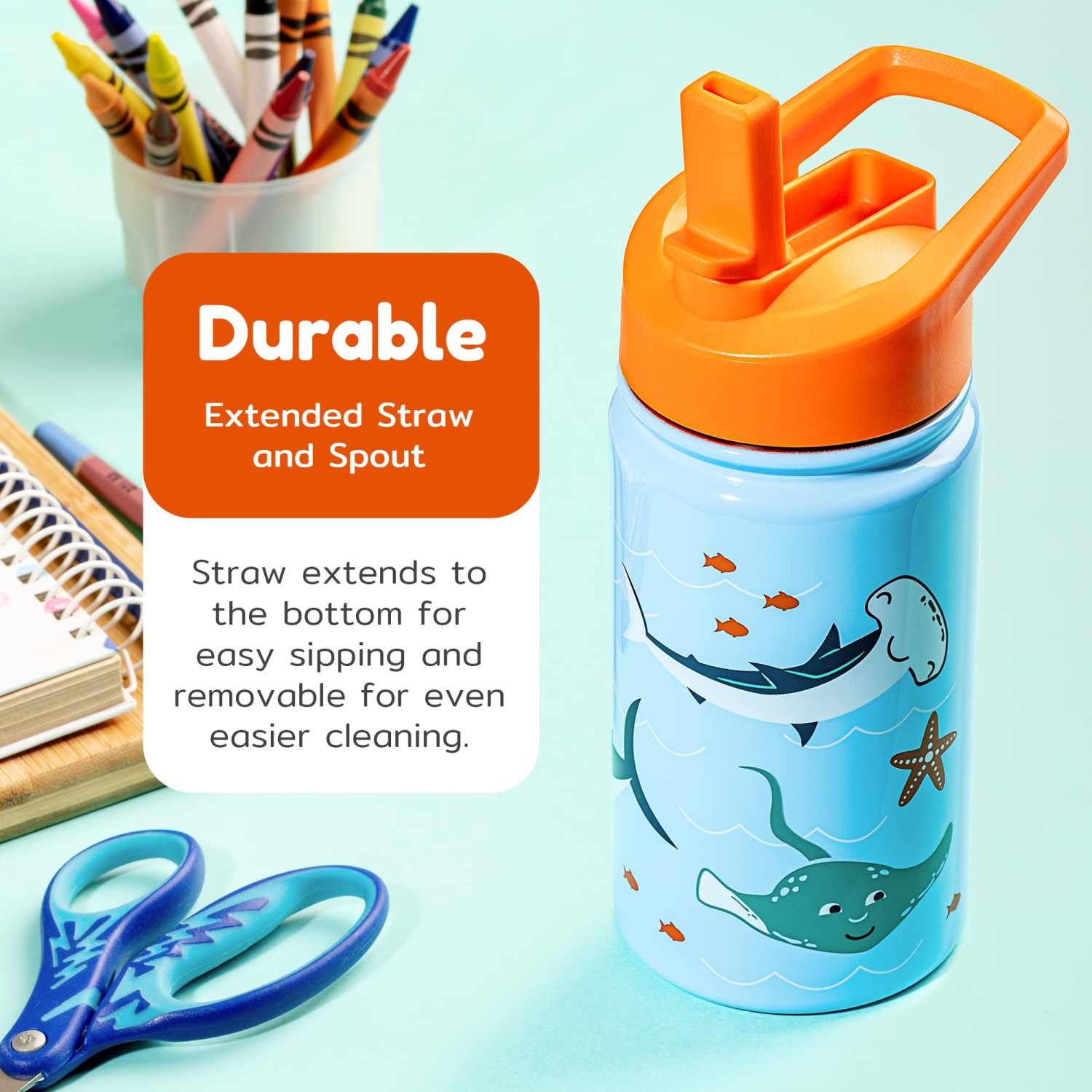 BOZ Kids Insulated Water Bottle with Straw Lid, Stainless Steel Vacuum Double Wall Water Cup with Scratch-Resistant Cute Print and Carry Handle,