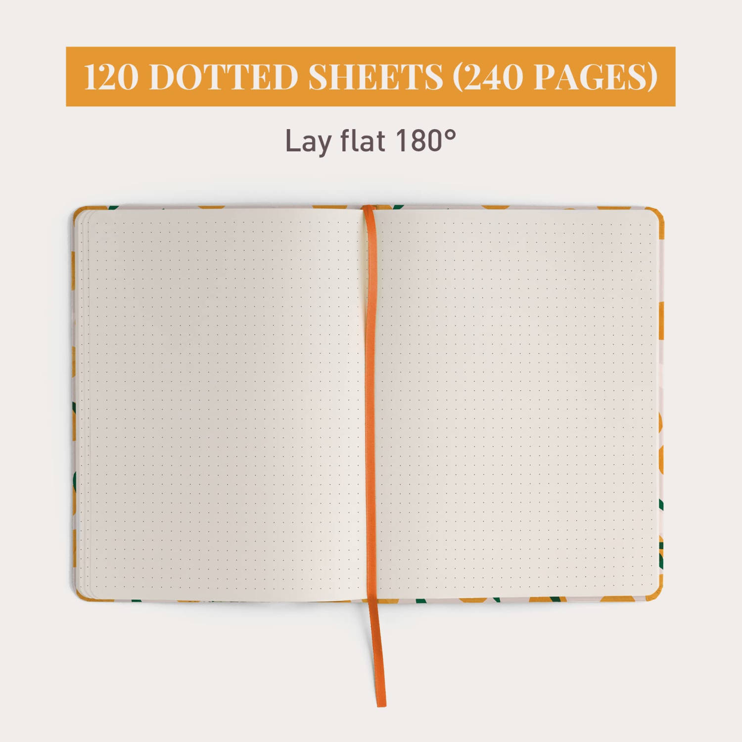 Rileys & Co Notebook Journal for Work and School - Dotted Journal 8 x 6 Inches - Compact Notebook for Women - 240 Pages - Lined Notebook - Hardcover