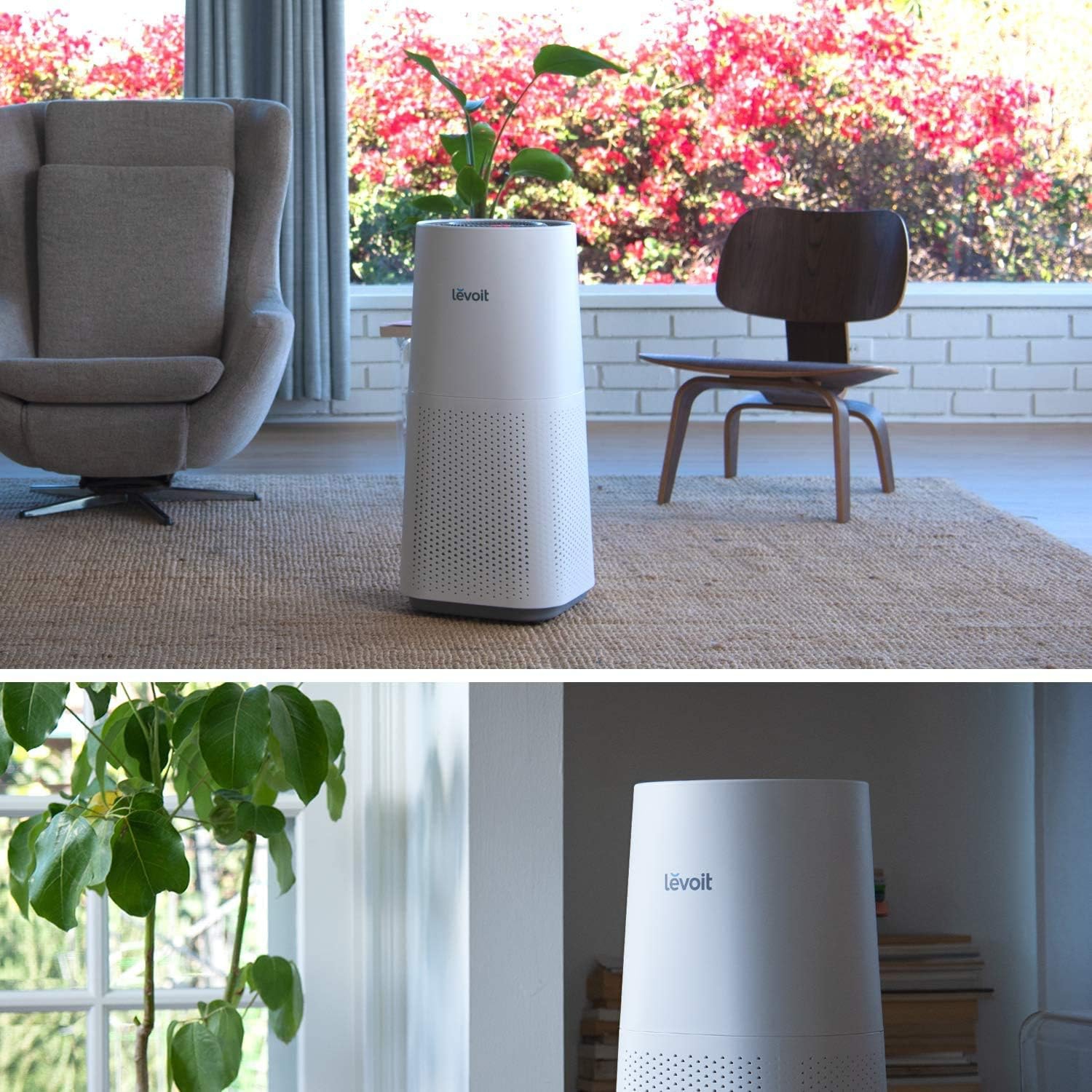 LEVOIT Air Purifier for Home Large Room with H13 True HEPA Filter for Allergies, Cleaner for Smoke Mold, Pollen, Dust, Quiet Odor Eliminators for
