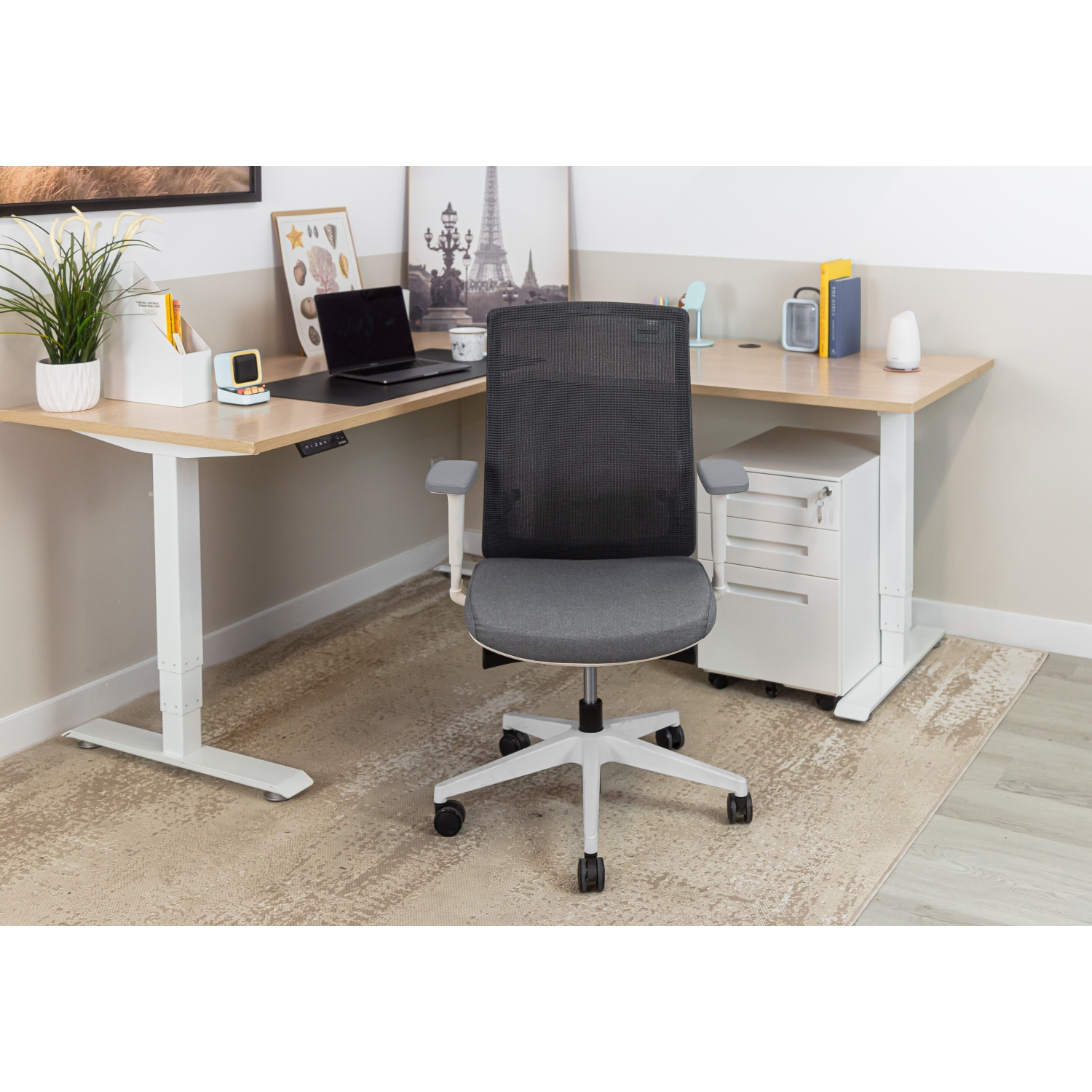 TaskChair Heavy-Duty Executive Home Office Chair Ergonomic Desk Chair with Lumbar Support 4D Armrest Adjustable Task Chair