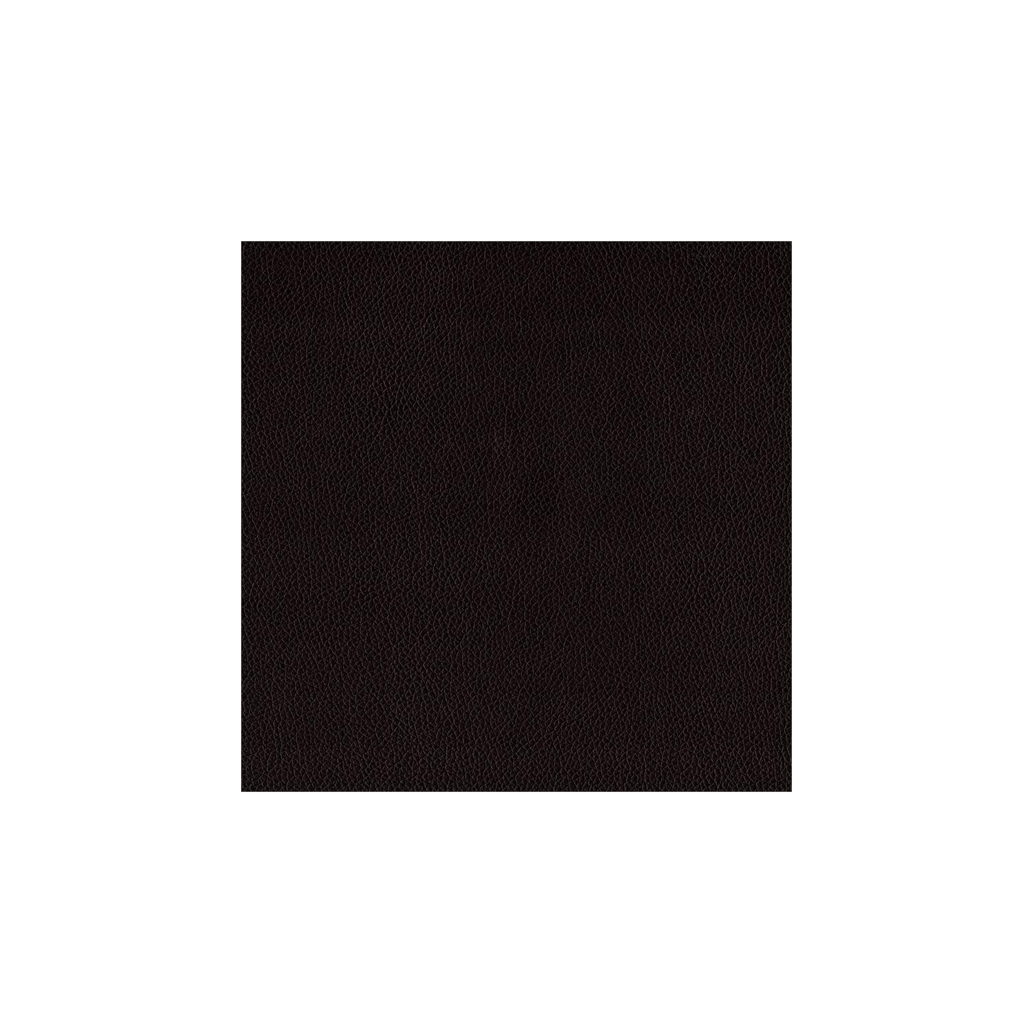 Lexicon Lorenzi 2-Drawers Contemporary Wood Nightstand in Dark Brown