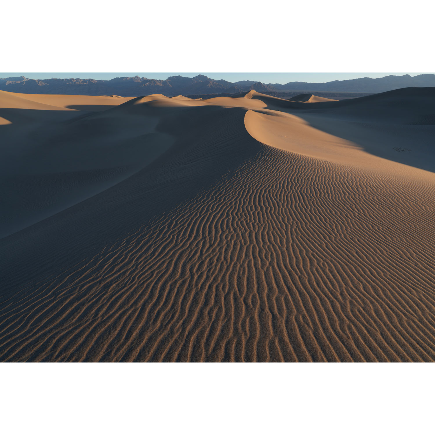 Sony E-Mount Full-Frame 20-70mm f/4 G Ultra-Wide Compact Lightweight Zoom Lens