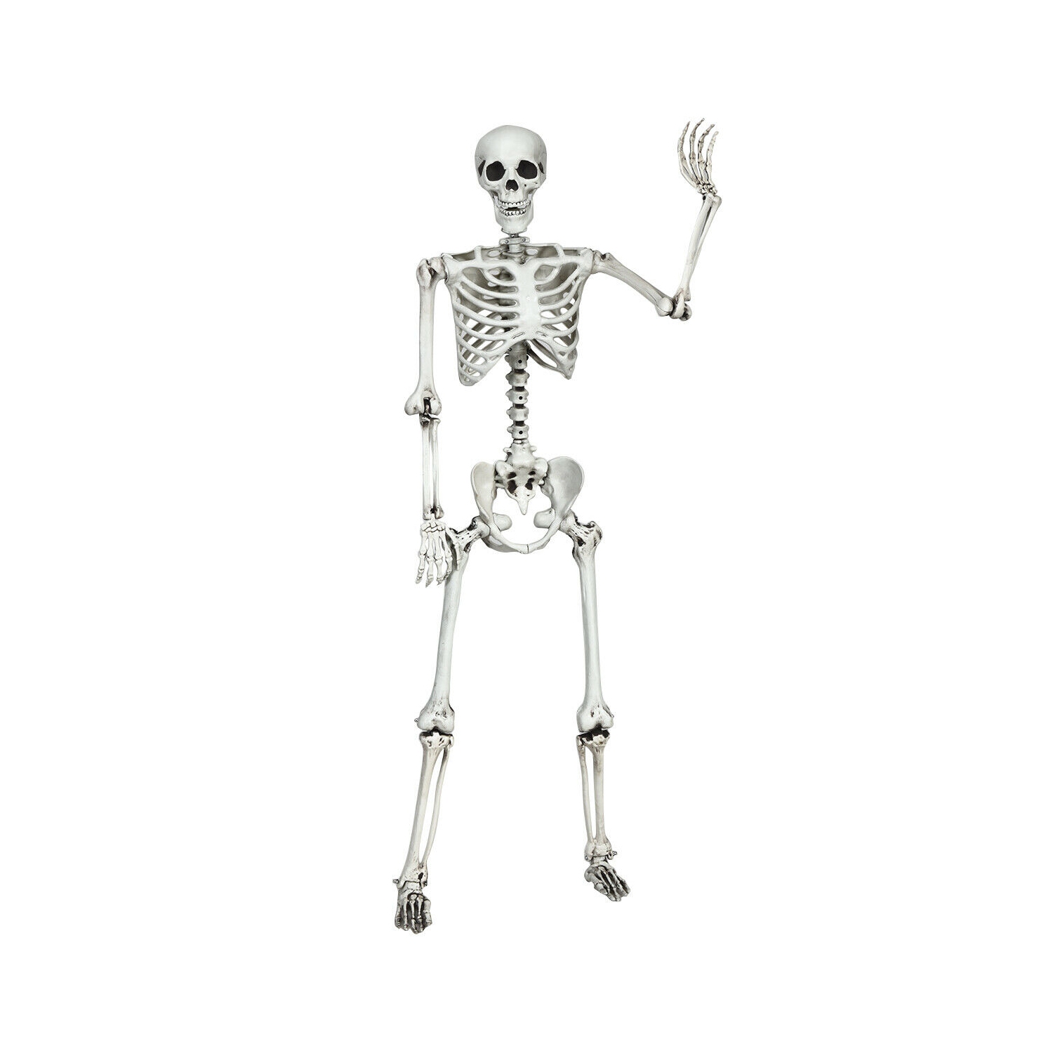 Gymax Full Body Halloween Skeleton 5.4ft Life Size w/ Hanging Rope Movable Joints