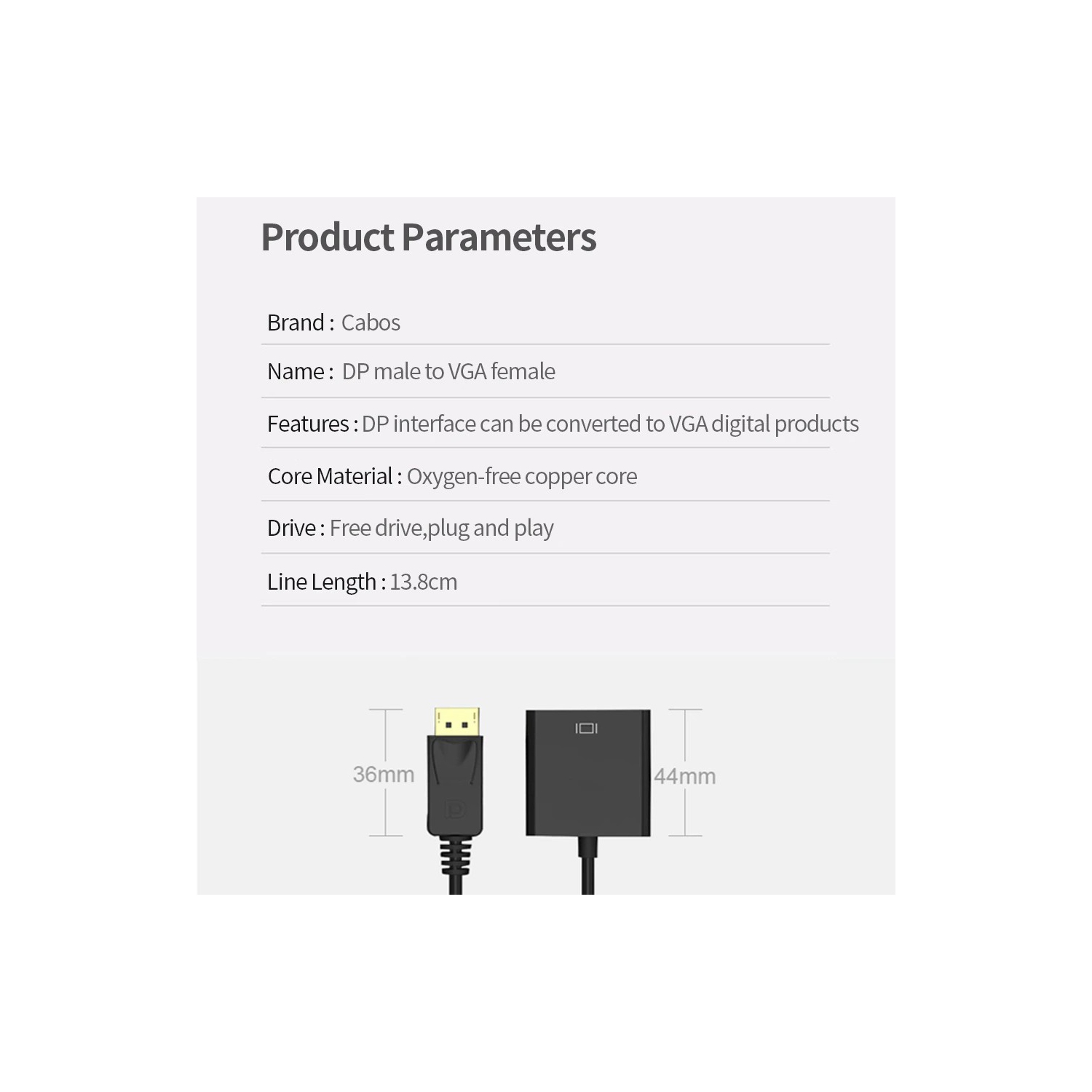 Adaptateur vidéo DisplayPort DP à VGA de SuperShield