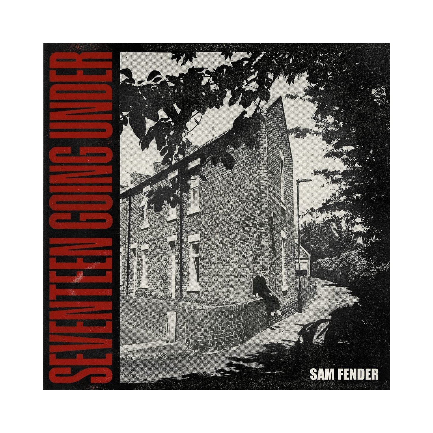 Seventeen Going UnderSam Fender