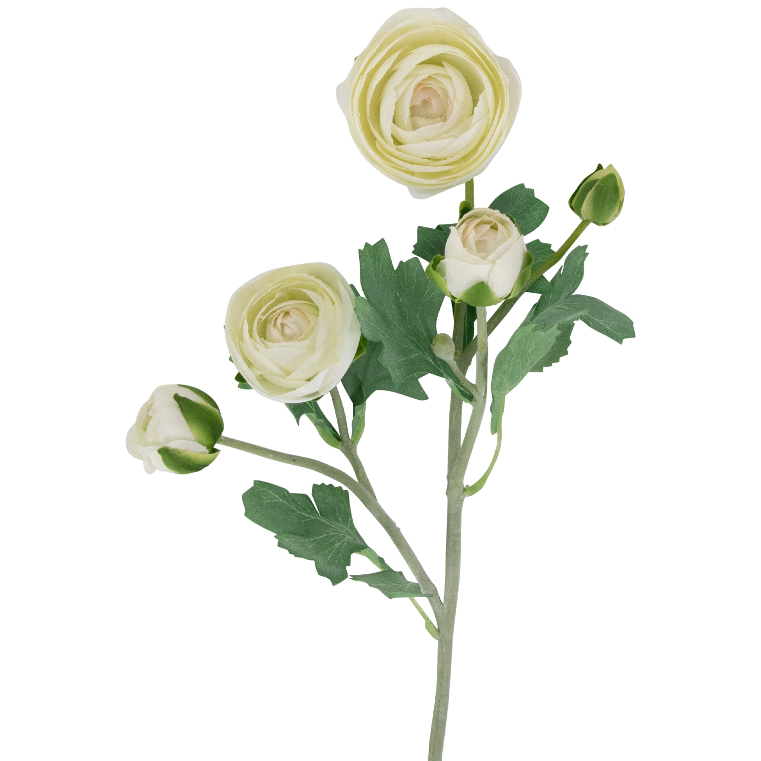 Real Touch™ – Sray à fleurs artificielles Ranunculus, ensemble de 6 à 21 po
