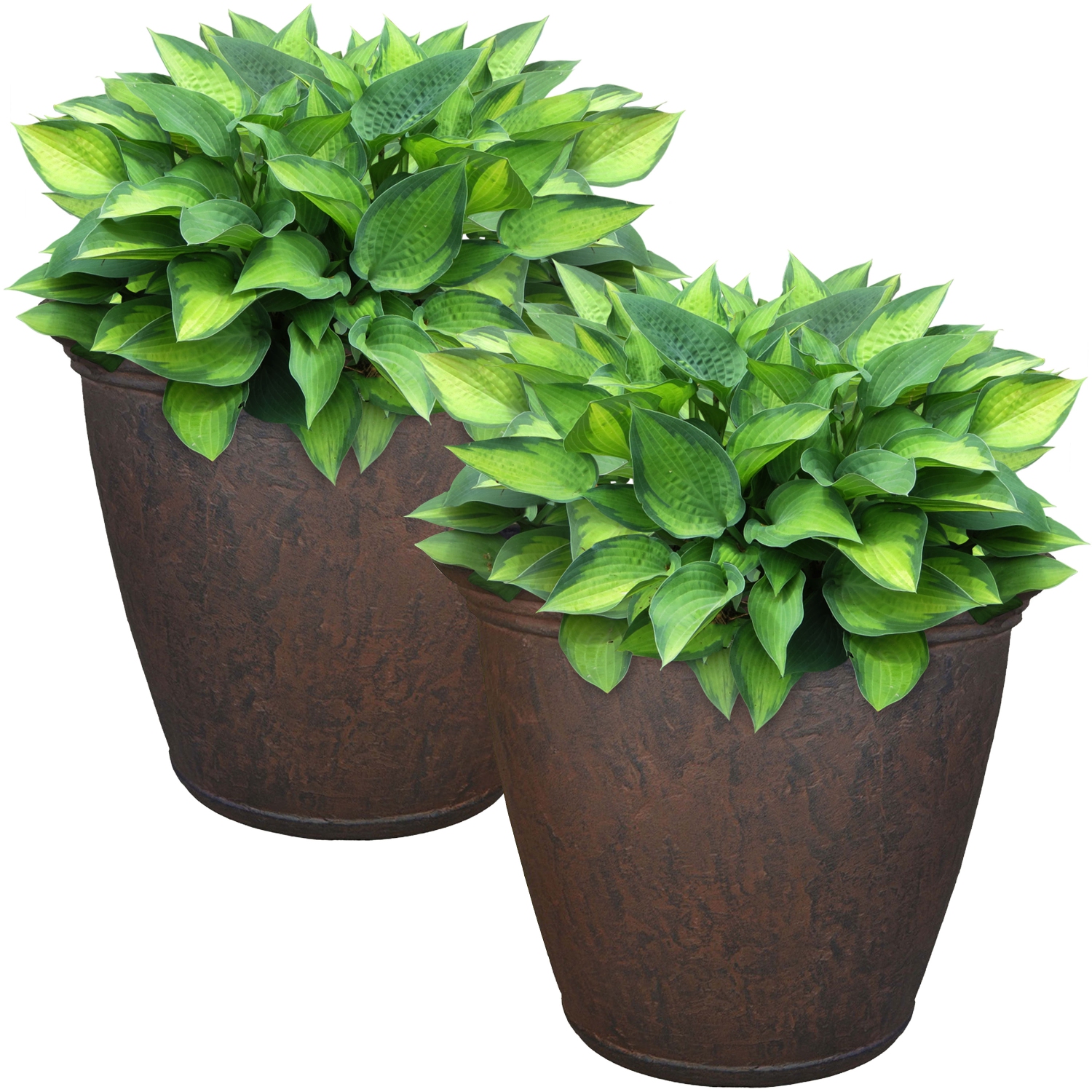 Sunnydaze 15.25 in Anjelica Unbreakable Polyresin Planter - Rust - Set of 2