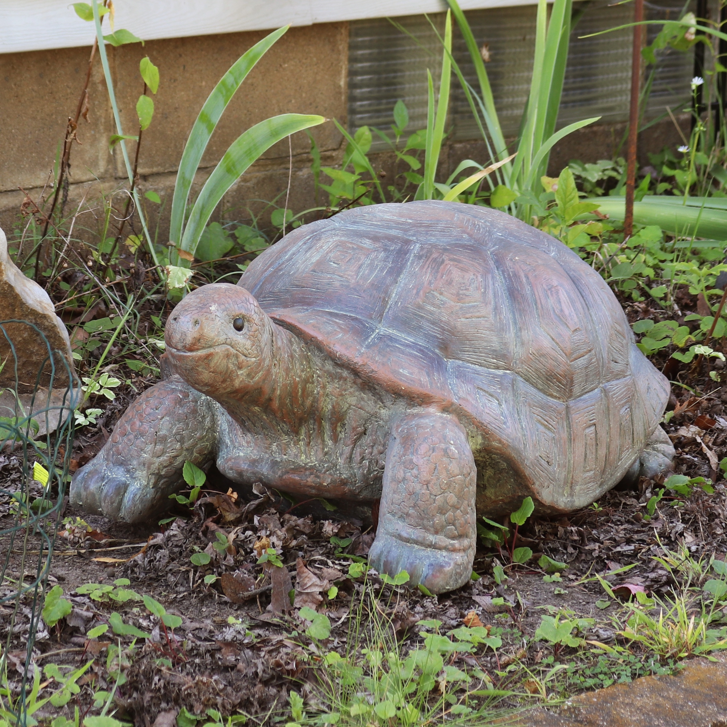 Statue de jardin intérieur/extérieur Tortue de Sunnydaze Talia, 12 po