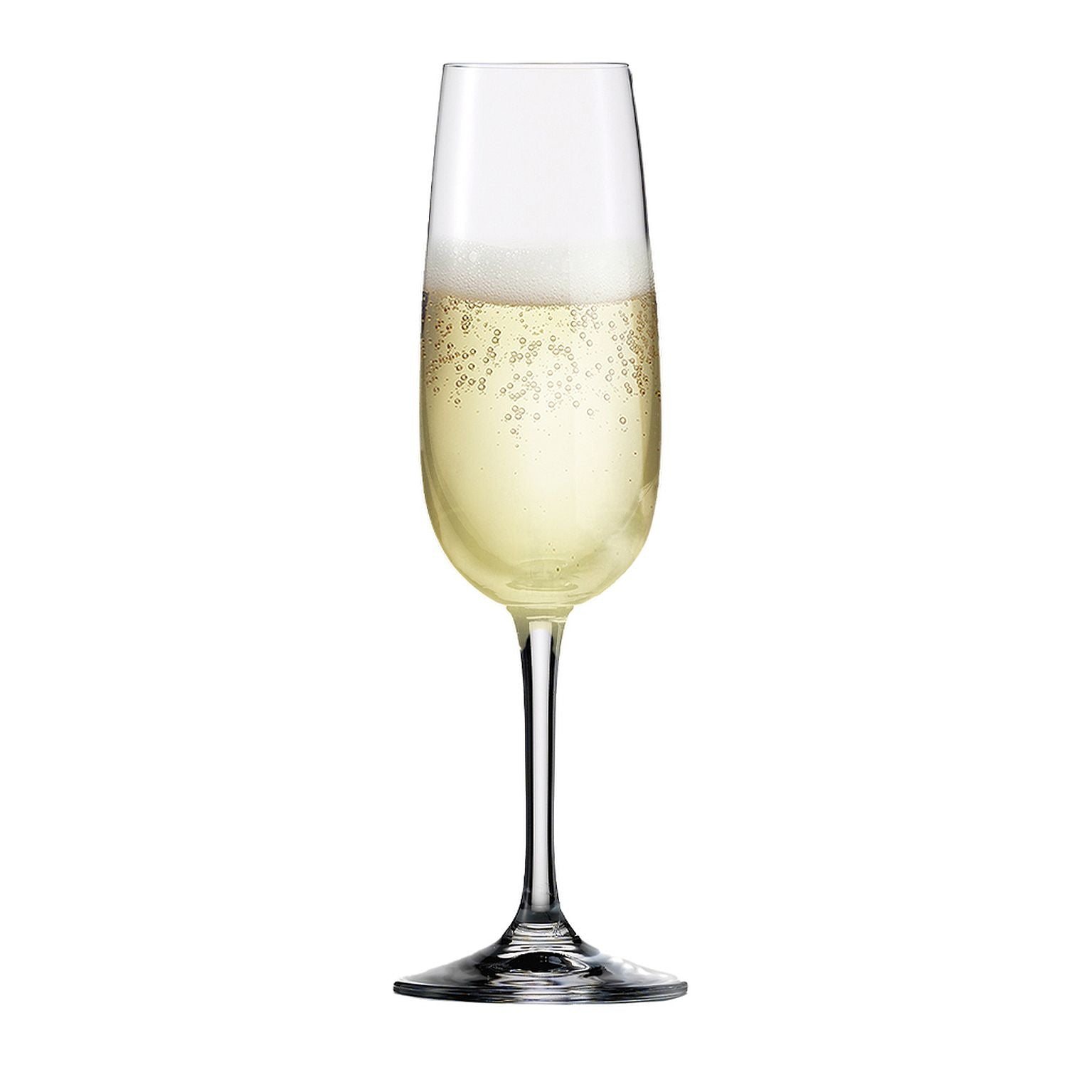 Sensis Plus Vino Nobile Champagne Flute 7.7Oz (Set Of 6)