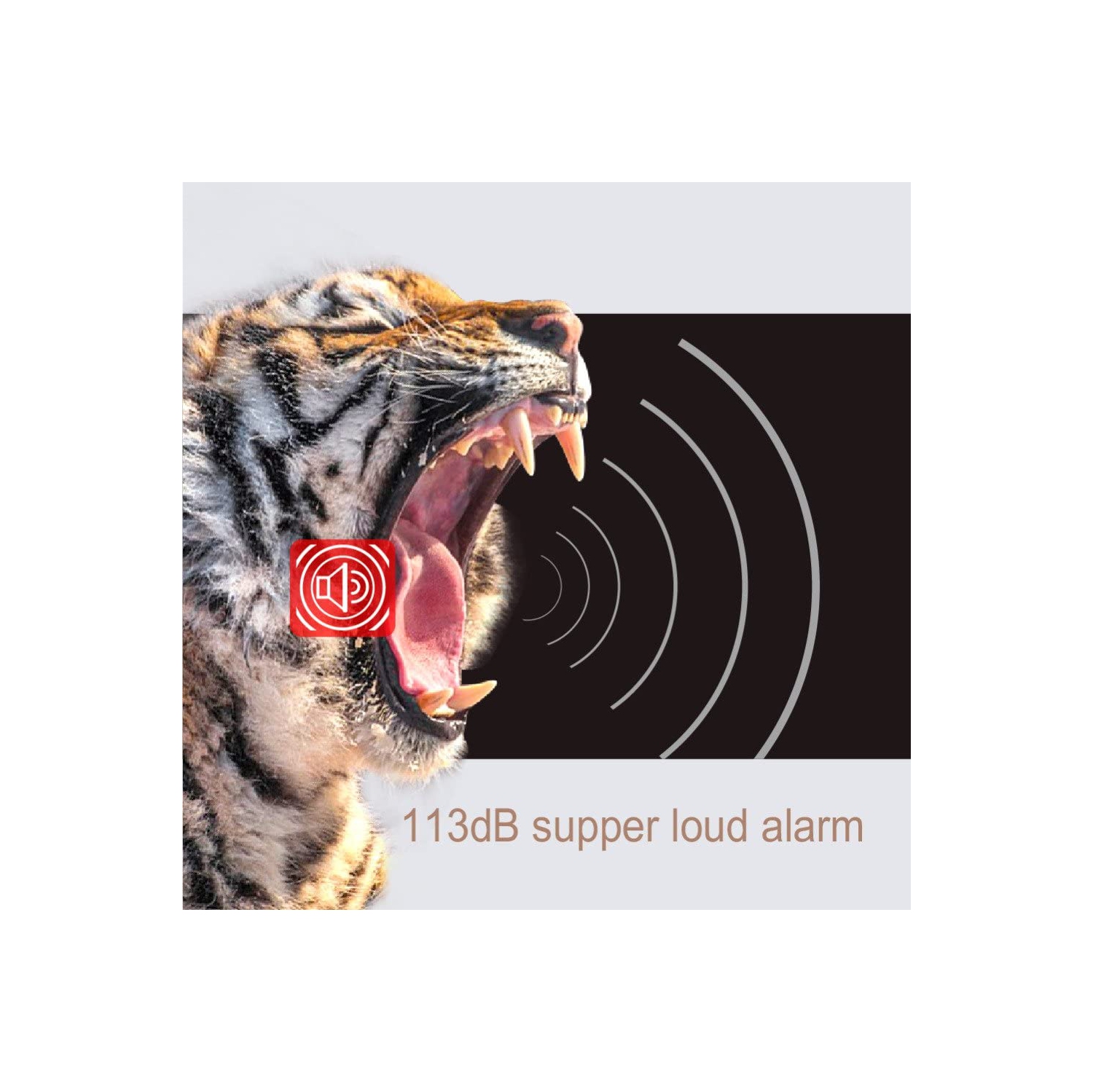 Alarme de vélo sans fil pour moto, alarme antivol avec télécommande, étanche IP55, 113 dB