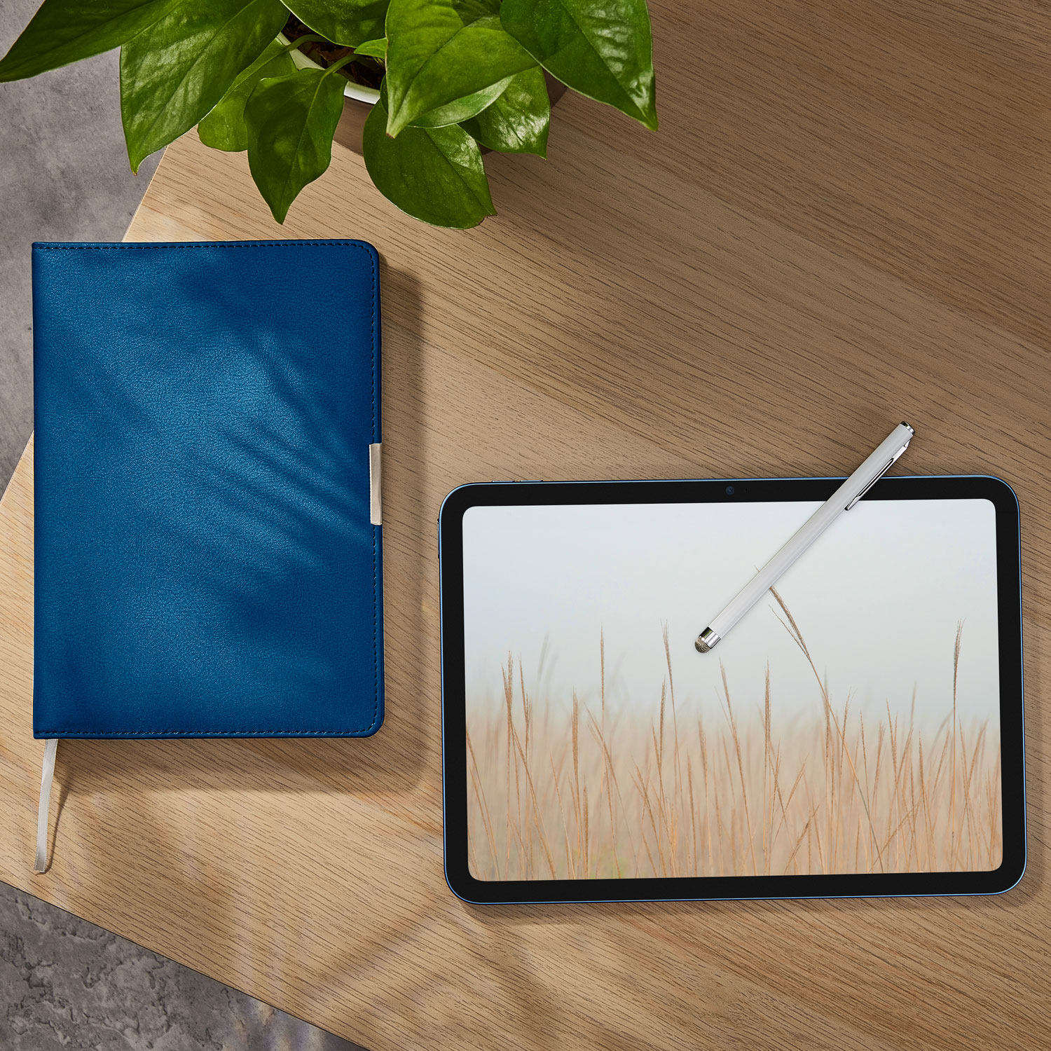 Stylet mince d'Insignia - Blanc - Exclusivité Best Buy