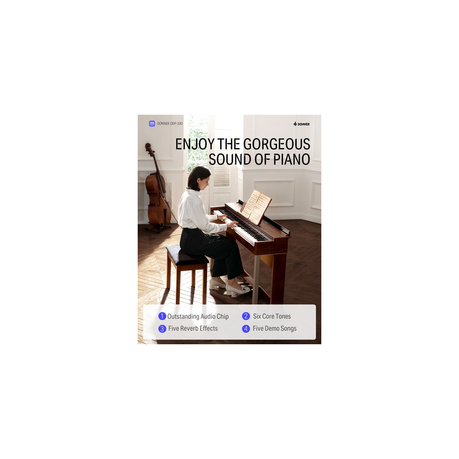 Donner DDP-200 Professional 88 Key Weighted Dynamic Graded Hammer Action Wooden Upright Digital Piano with Bench