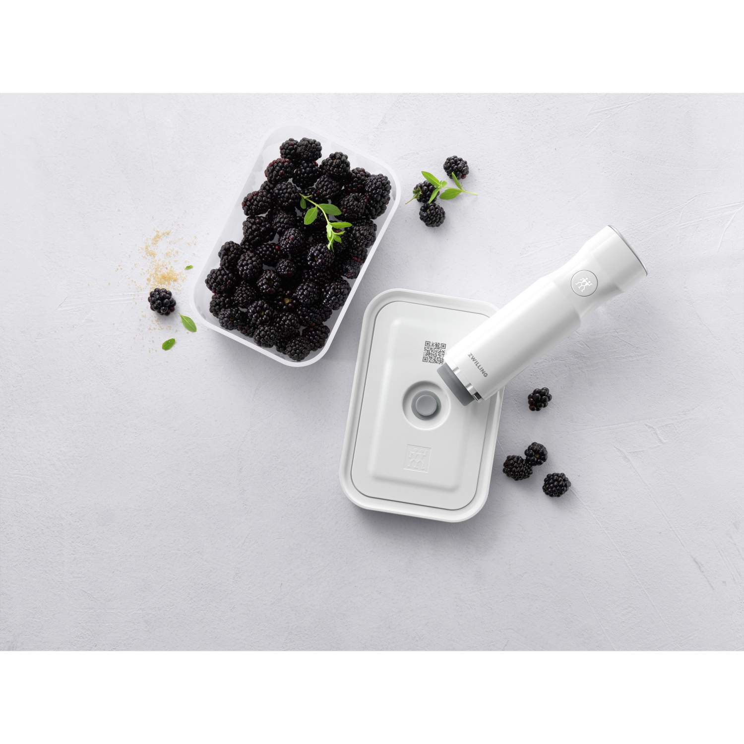 ZWILLING Fresh & Save M Vacuum Box, Plastic, Semitransparent-Grey