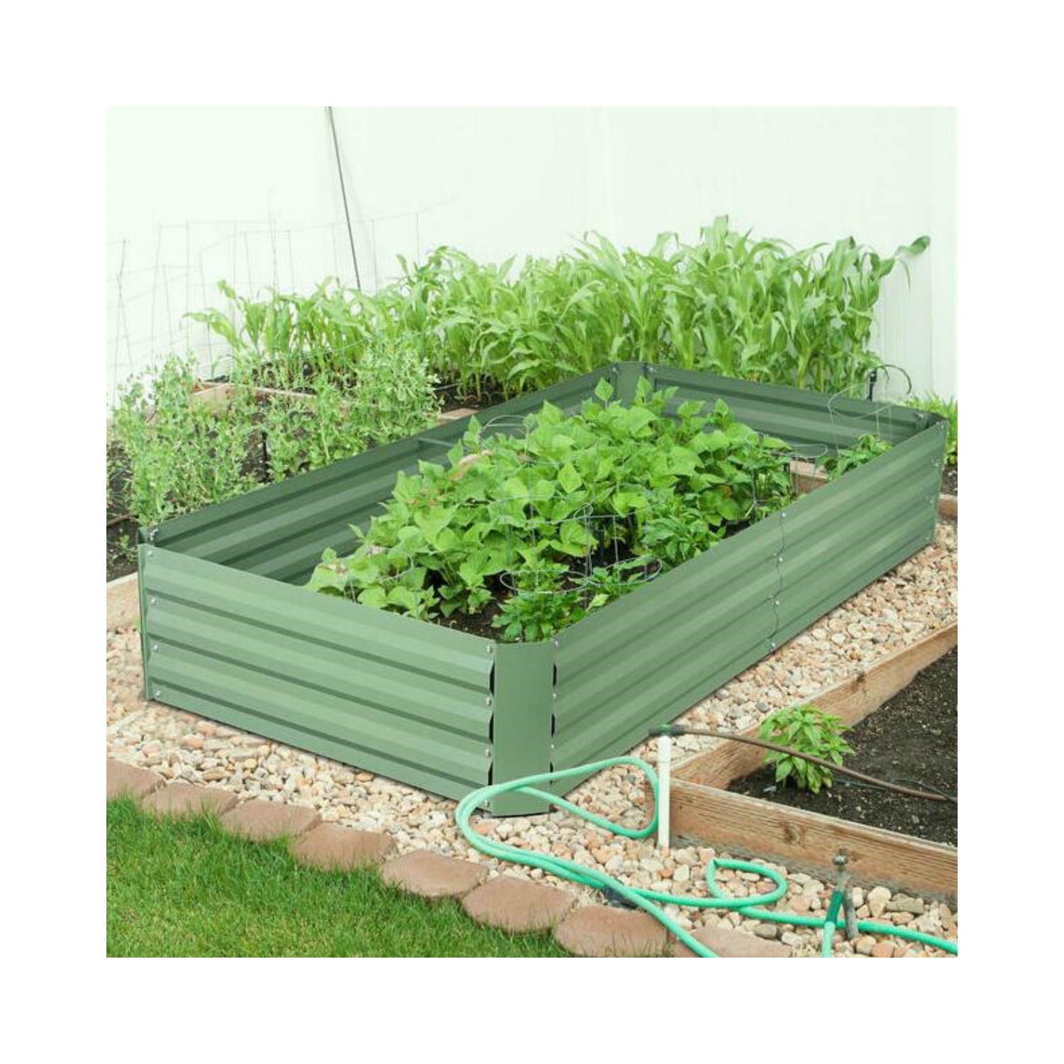 6 x 3 x bac de jardinage surélevé en métal 1 pi, jardinière extérieure robuste résistante aux intempéries et anti-rouille pour légumes en