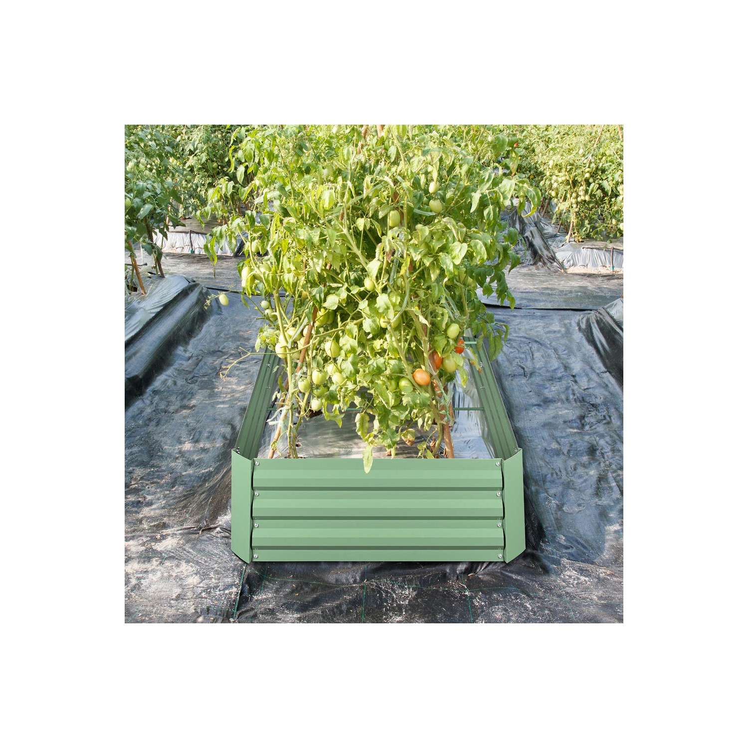 6 x 3 x bac de jardinage surélevé en métal 1 pi, jardinière extérieure robuste résistante aux intempéries et anti-rouille pour légumes en