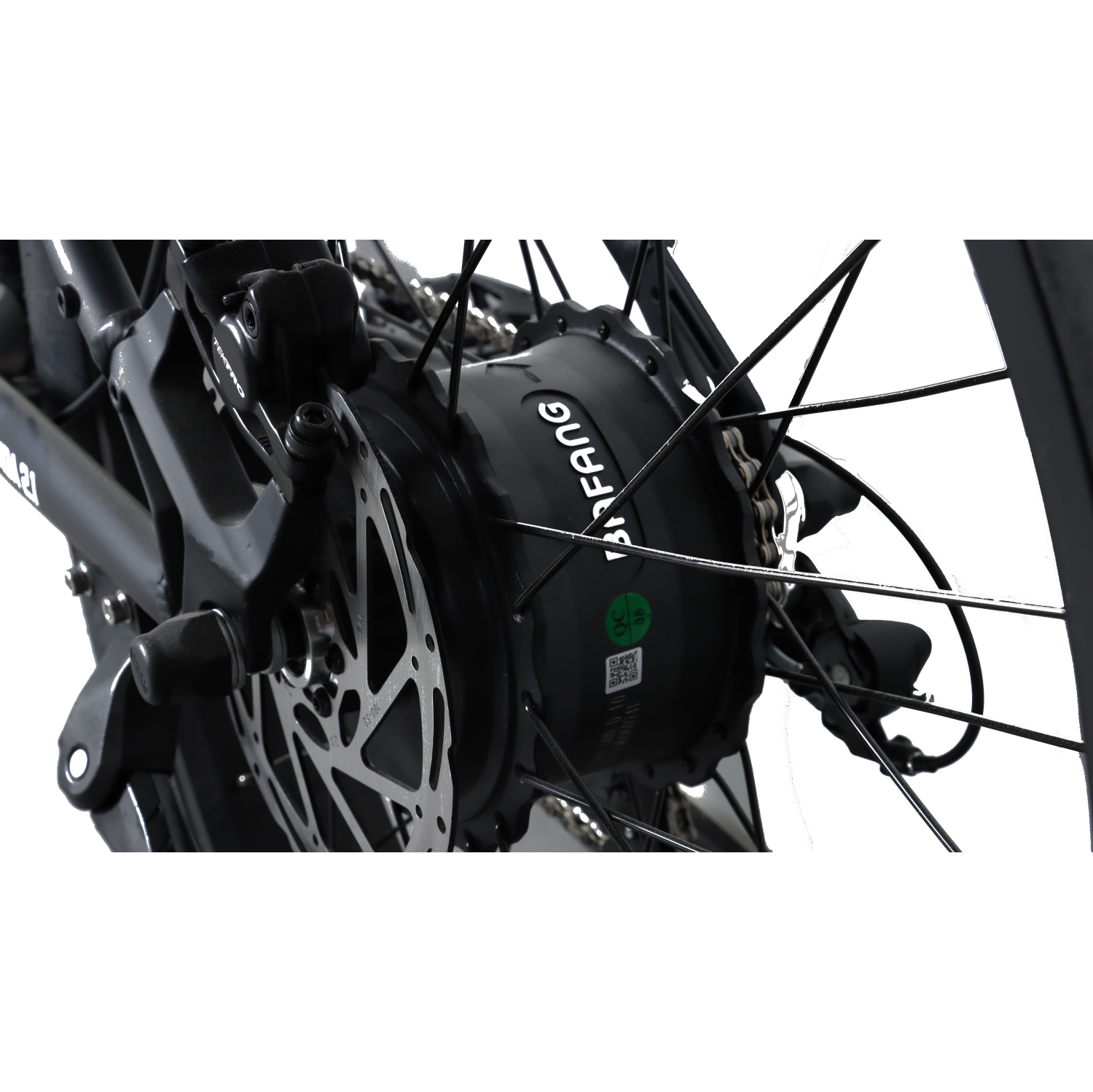 RBSM SPORTS Anaconda 2.1 Electric Fat Tire Bike