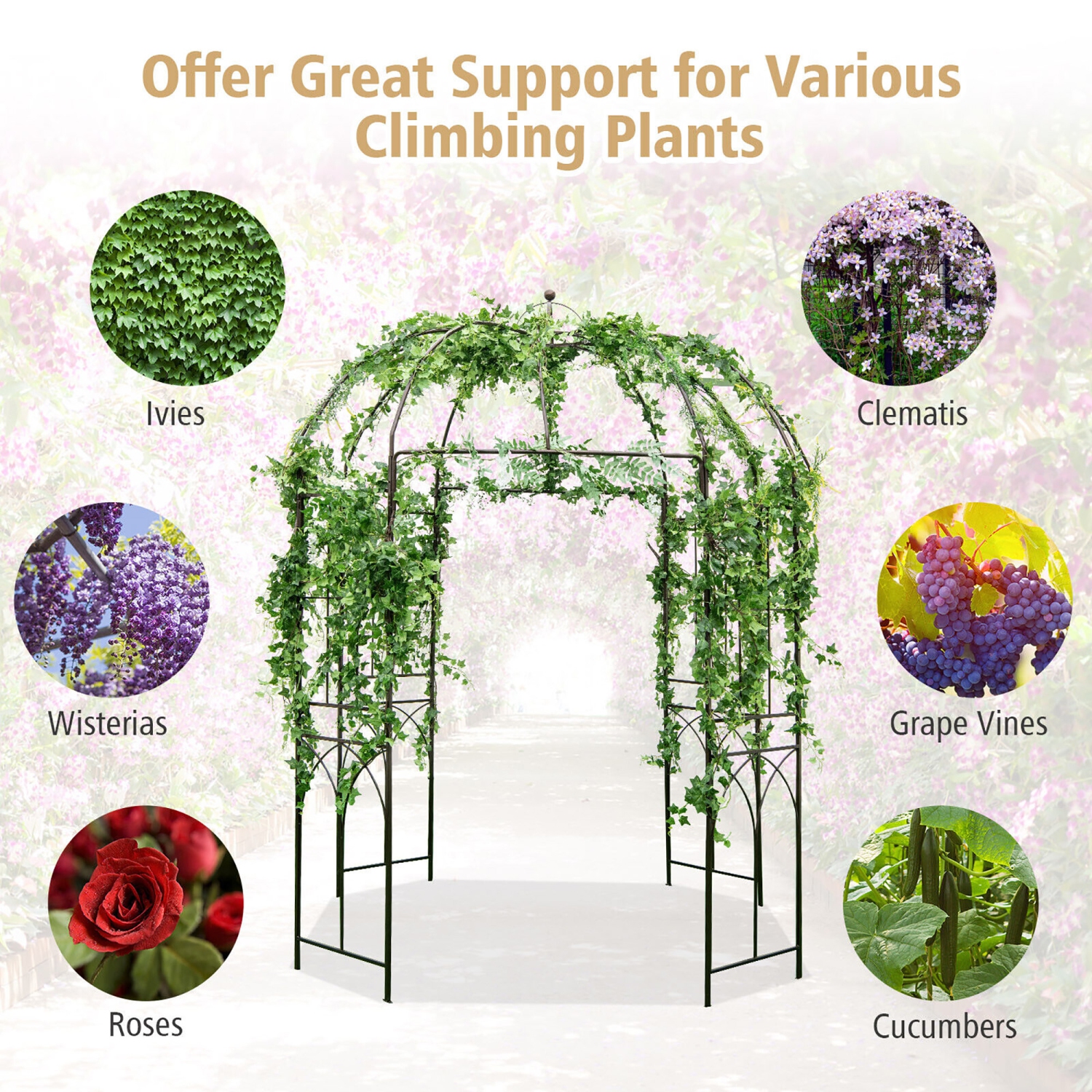 Gymax Birdcage Shape Garden Arbor Pergola Climbing Plants Stand Rack for Wedding Party