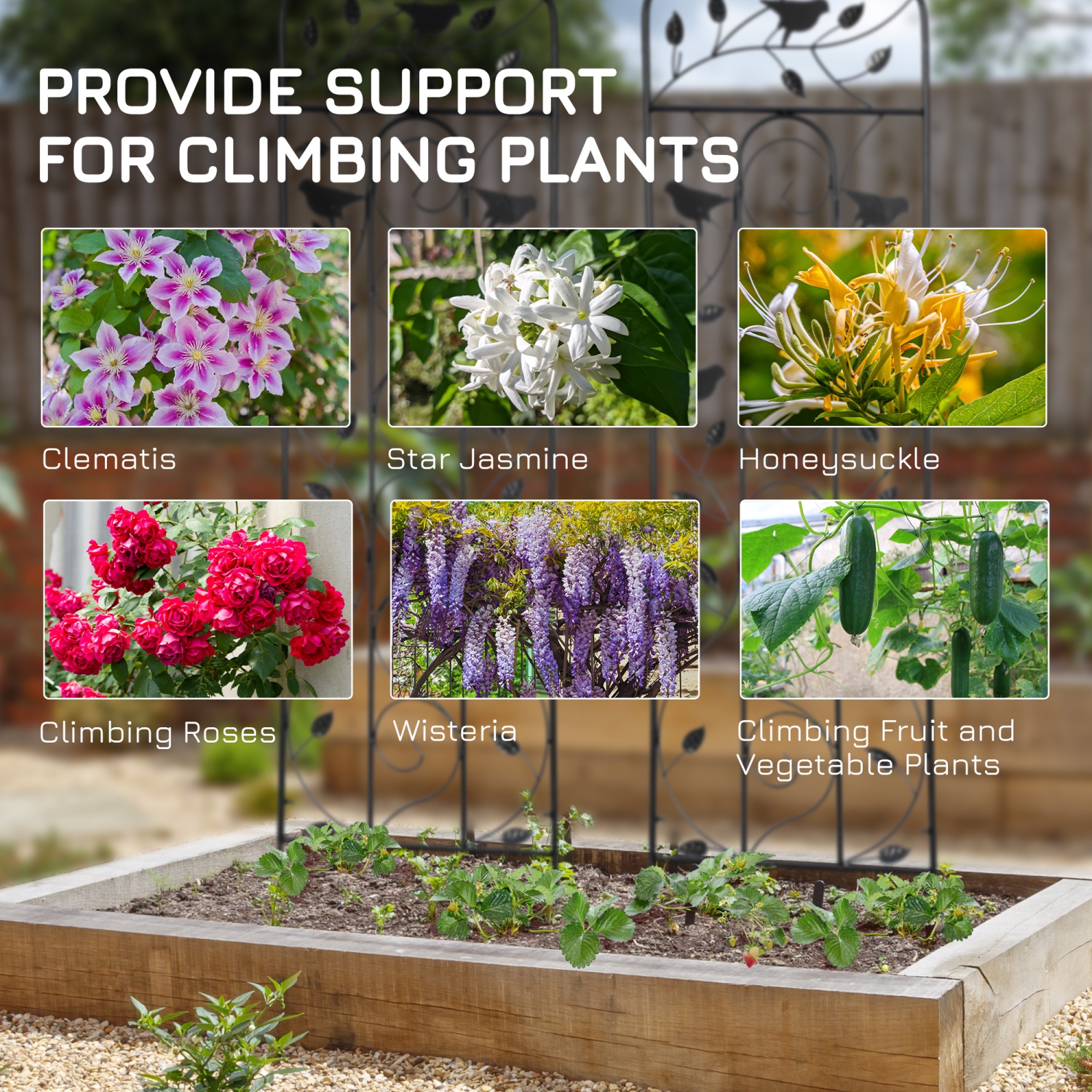 Outsunny Lot de 2 treillis de jardin pour plantes grimpantes, panneaux de grille en métal d'extérieur avec oiseaux et feuilles, pour roses, fleurs de