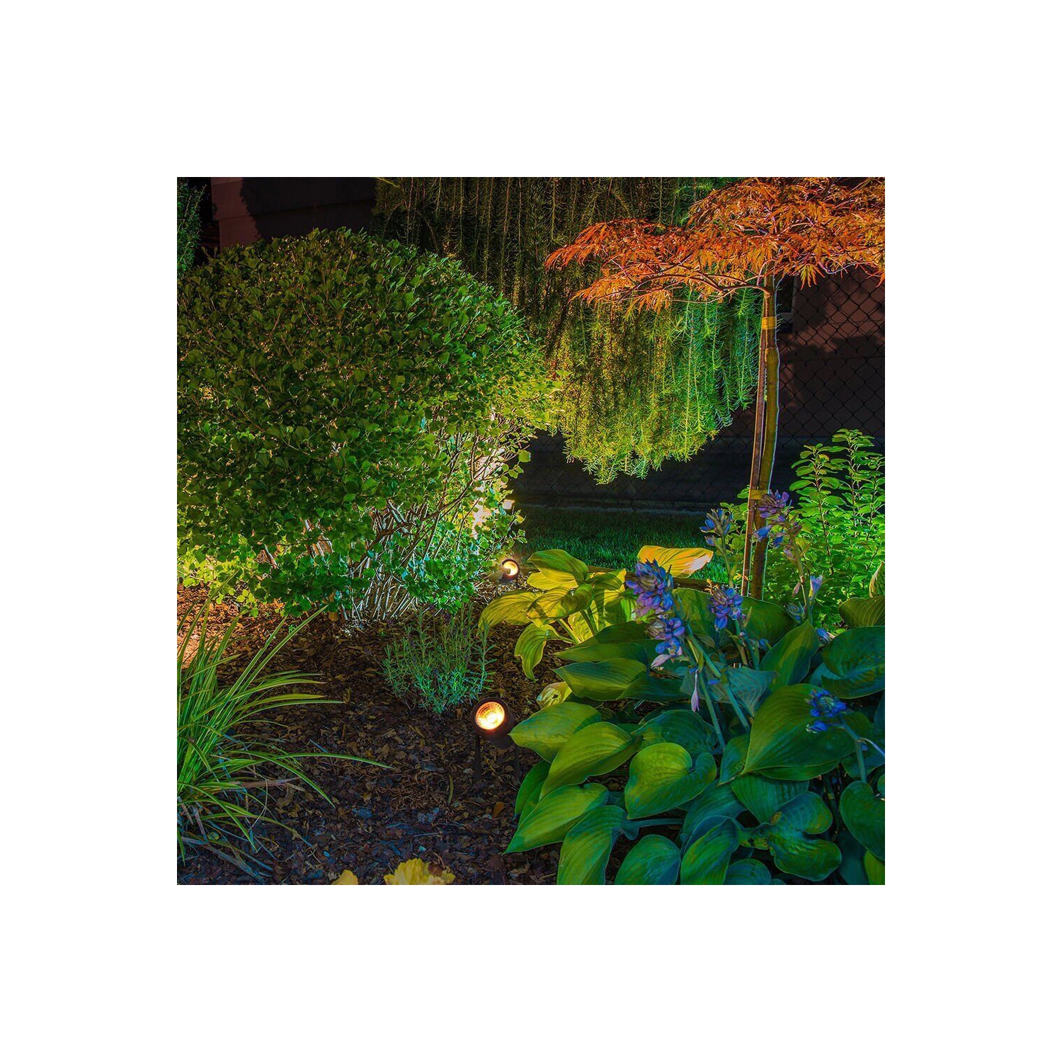 Monster Smart Illuminessence 4-Piece Smart Spotlight Outdoor Yard Light