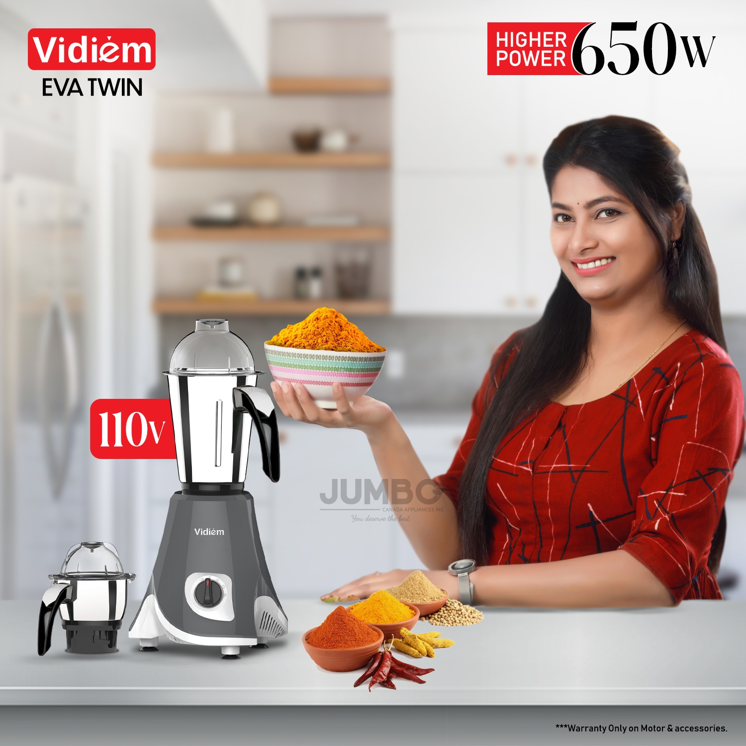 Vidiem Eva Twin 650W / 110V Stainless Steel Jars - Indian Mixer Grinder, Spice & Coffee grinder for use in Canada / USA
