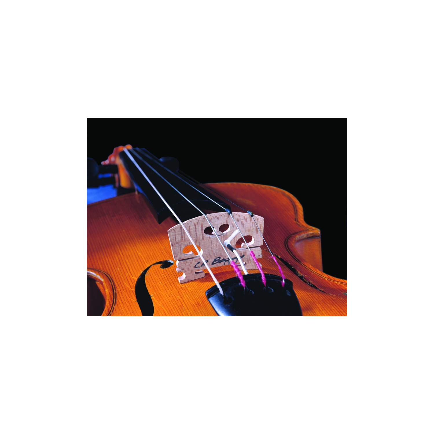 L.R Baggs Micro de violon avec Jack Carpenter