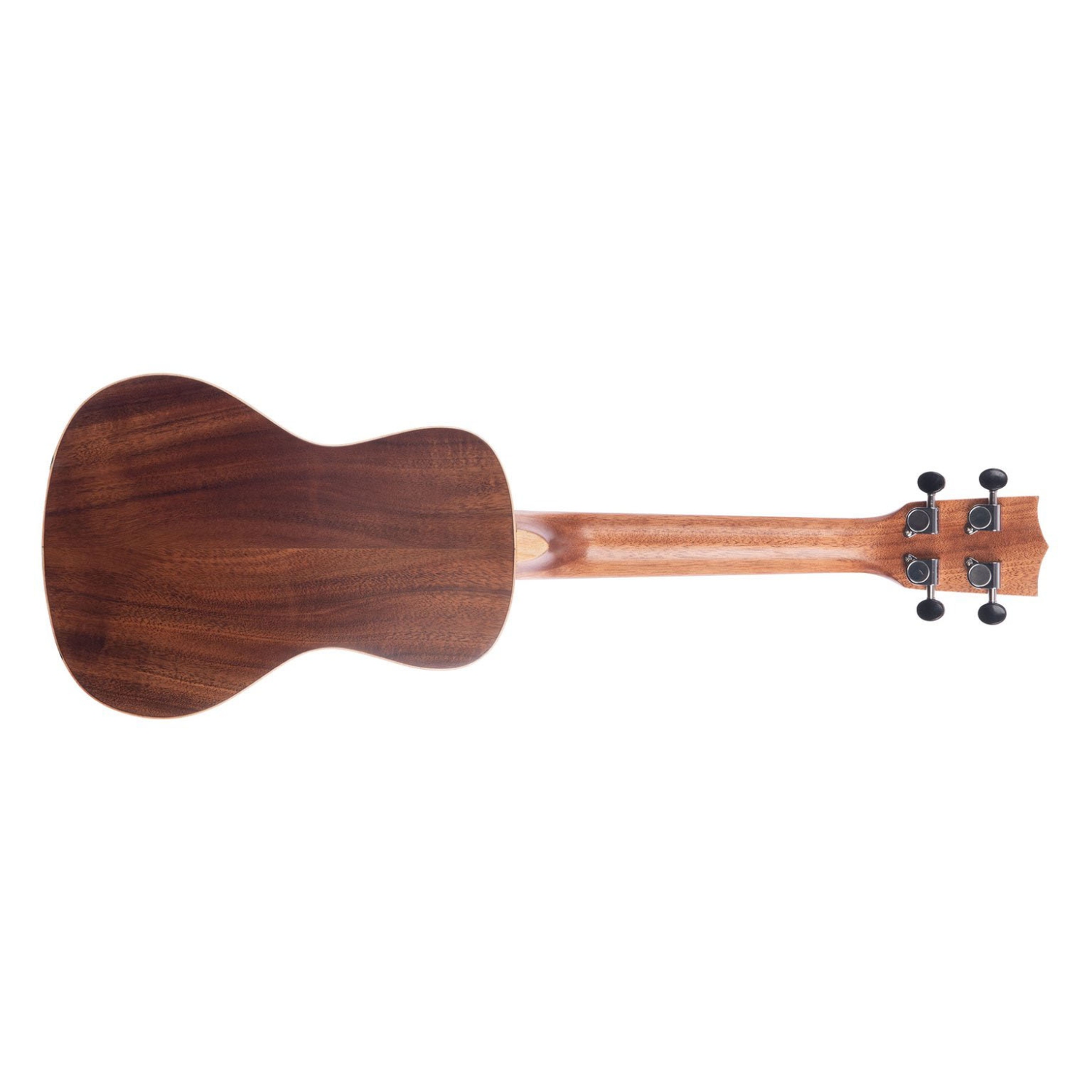 Ukulélé de concert en acacia massif Kala, touche en palissandre