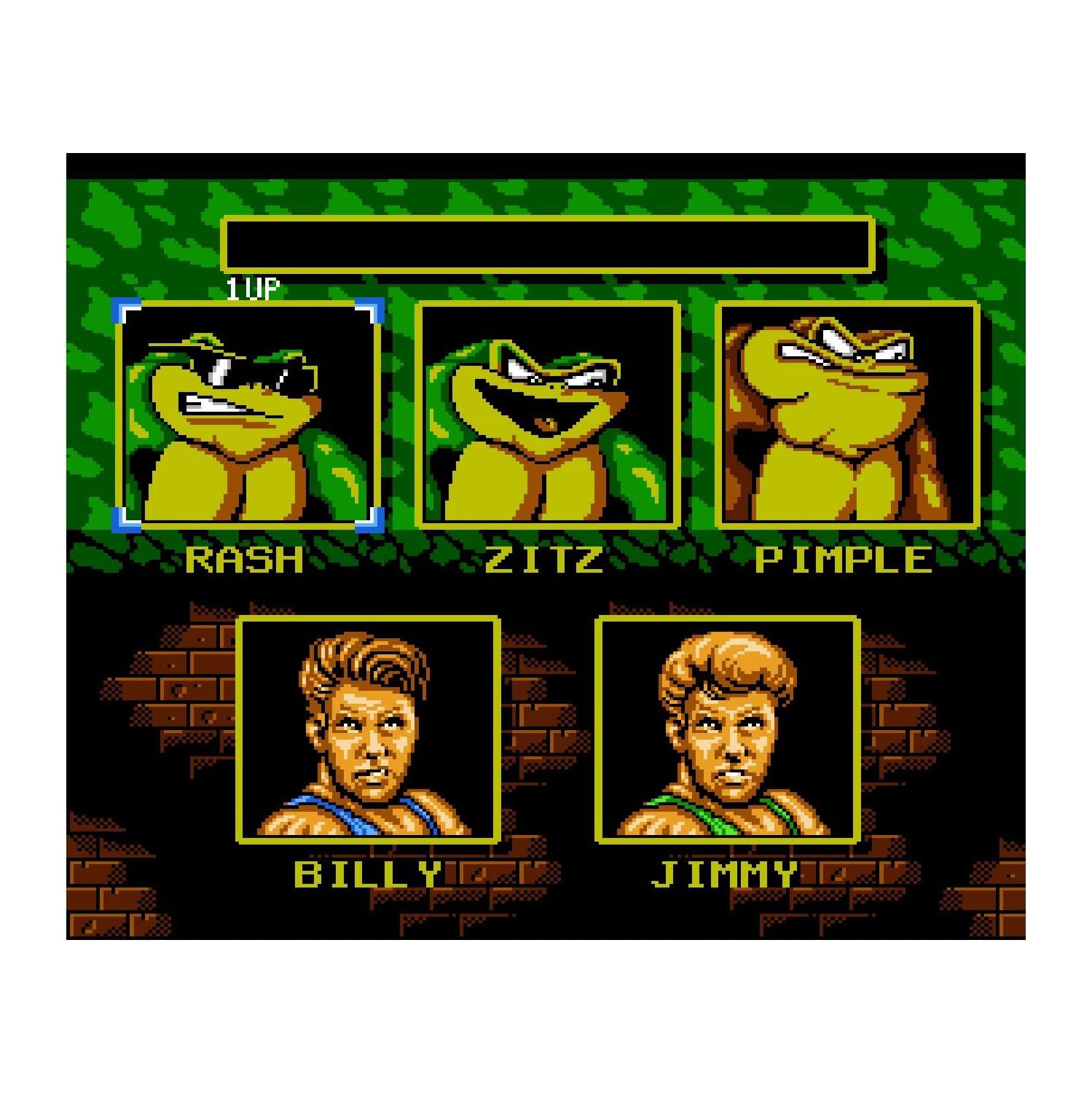 Battletoads & Double Dragon - Limited Run Games [NES]