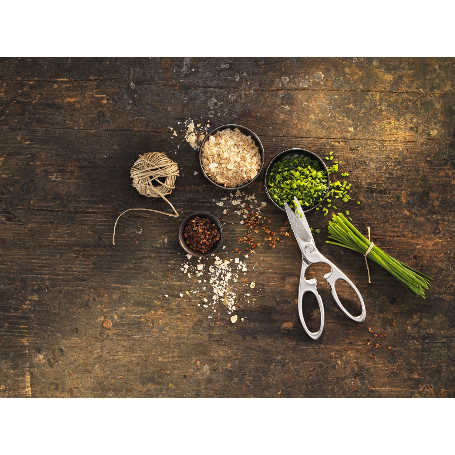 ZWILLING TWIN Select 20 cm, Multi-Purpose Shears, Silver