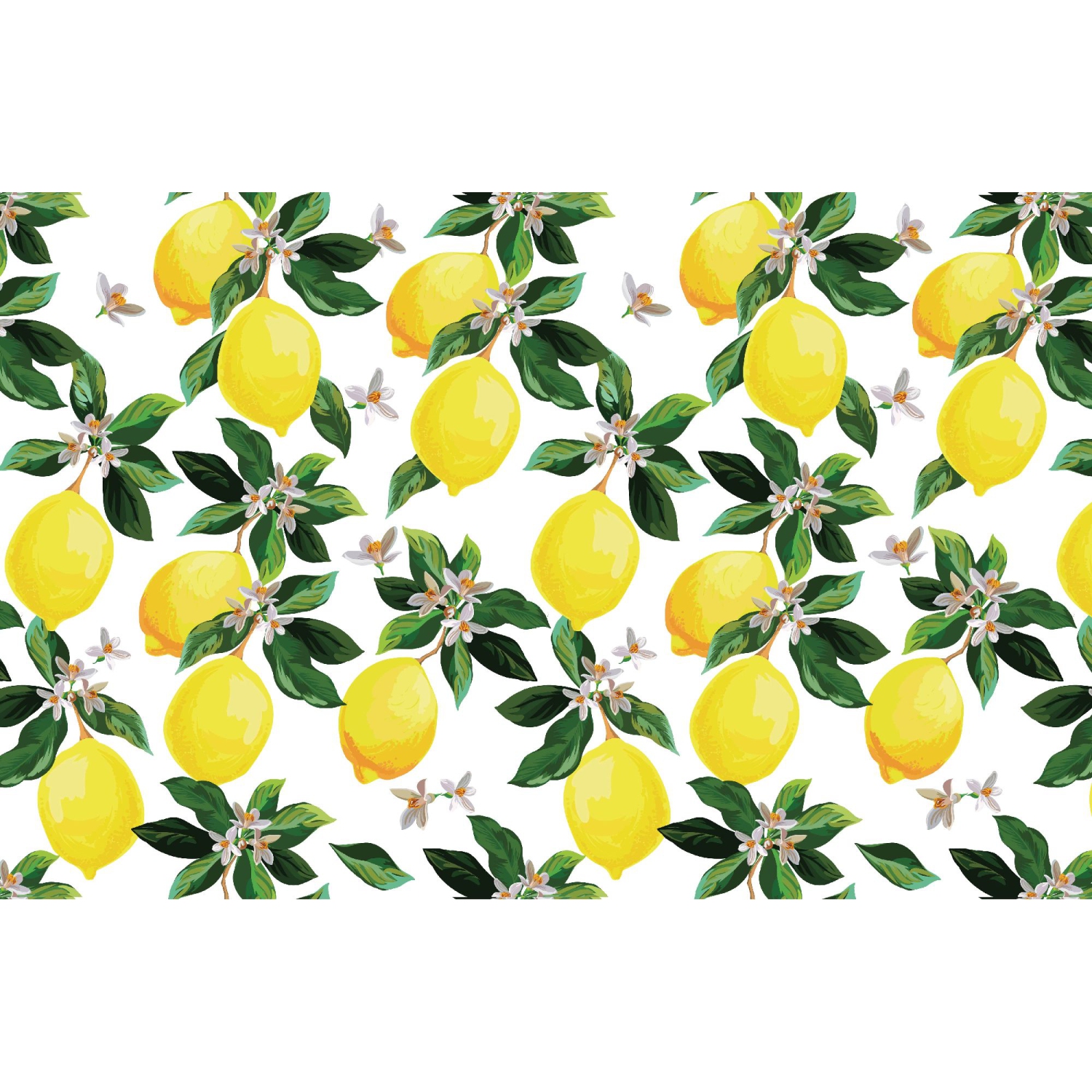 Maison Concepts Plastic Placemat Lemon Branches - Set of 12