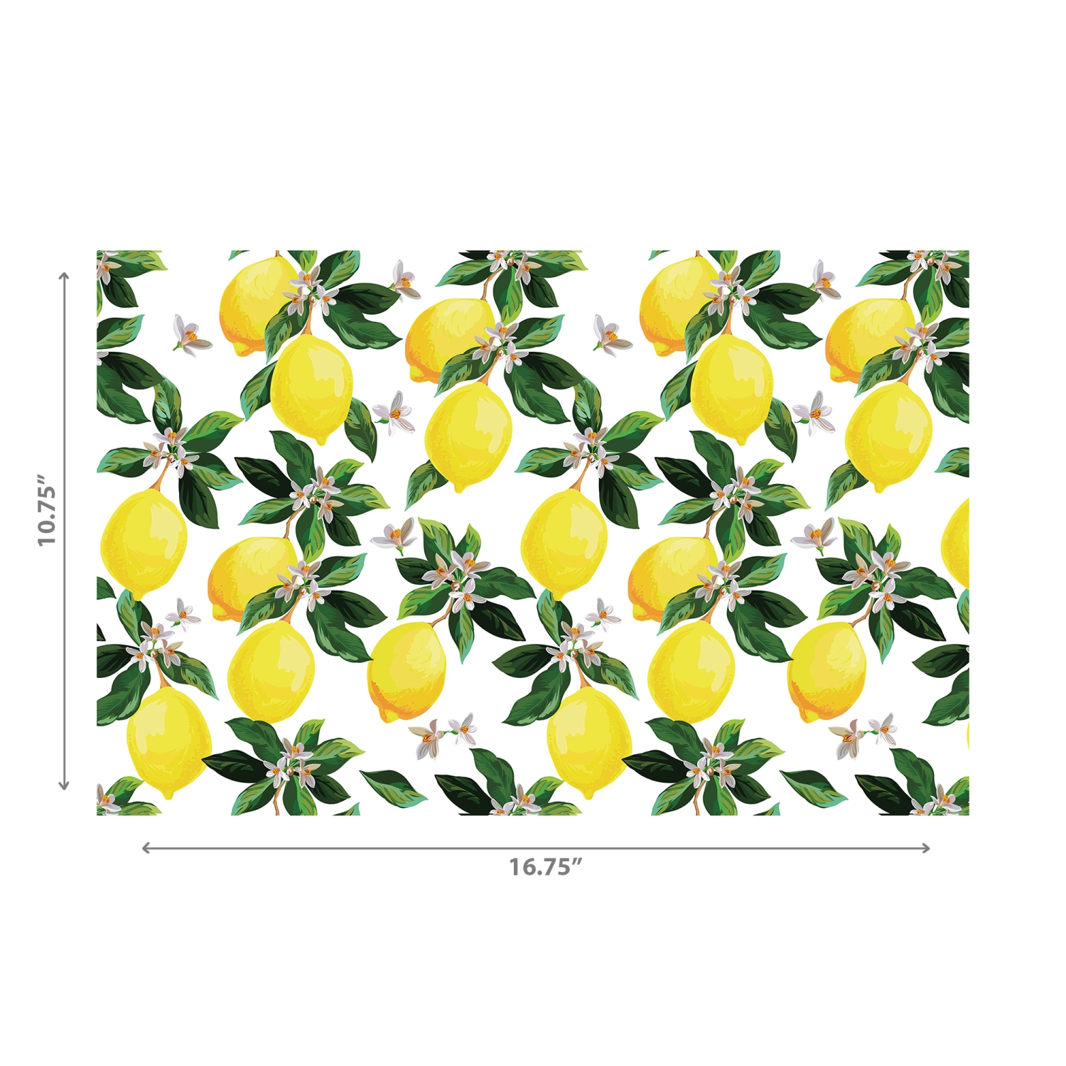 Maison Concepts Plastic Placemat Lemon Branches - Set of 12